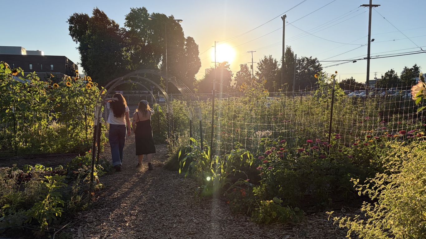 Pizza and wine taste better in Nostrana's garden