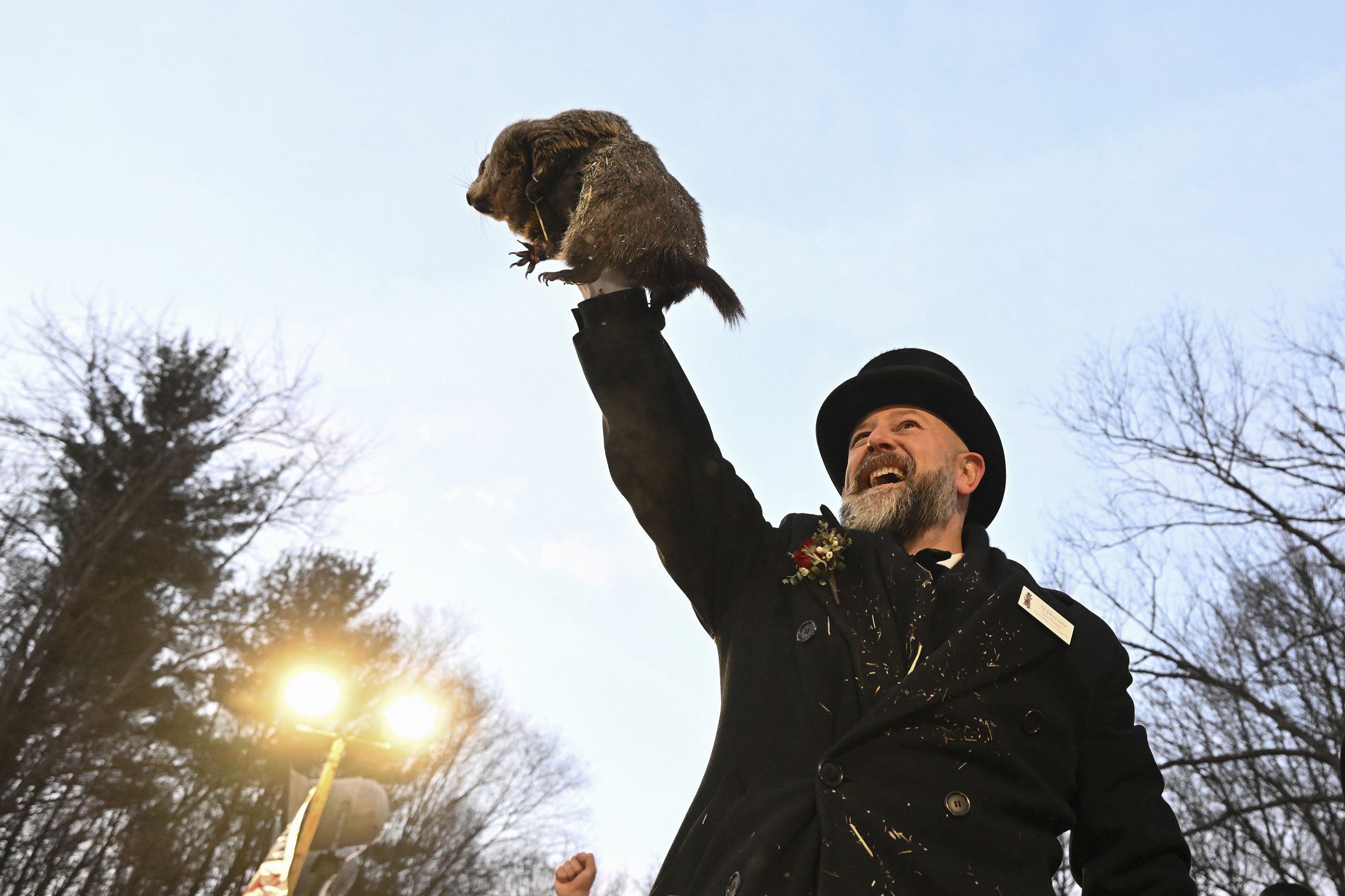 Groundhog Club handler A.J. Dereume holds Punxsutawney Phil yesterday.