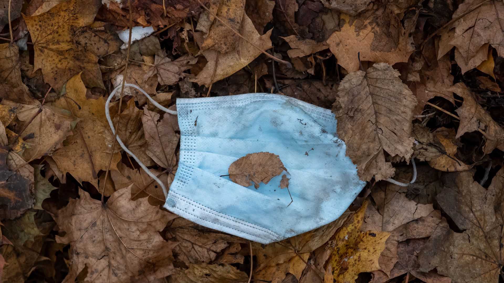 A face mask on the ground