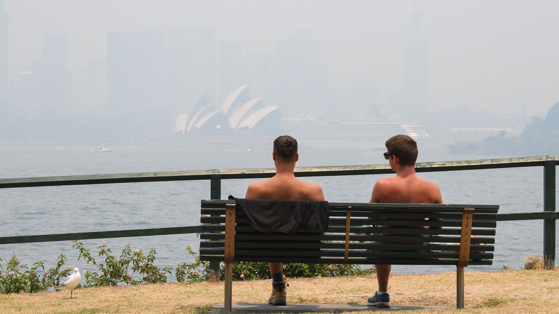 Thick smoke blankets Sydney Harbour 