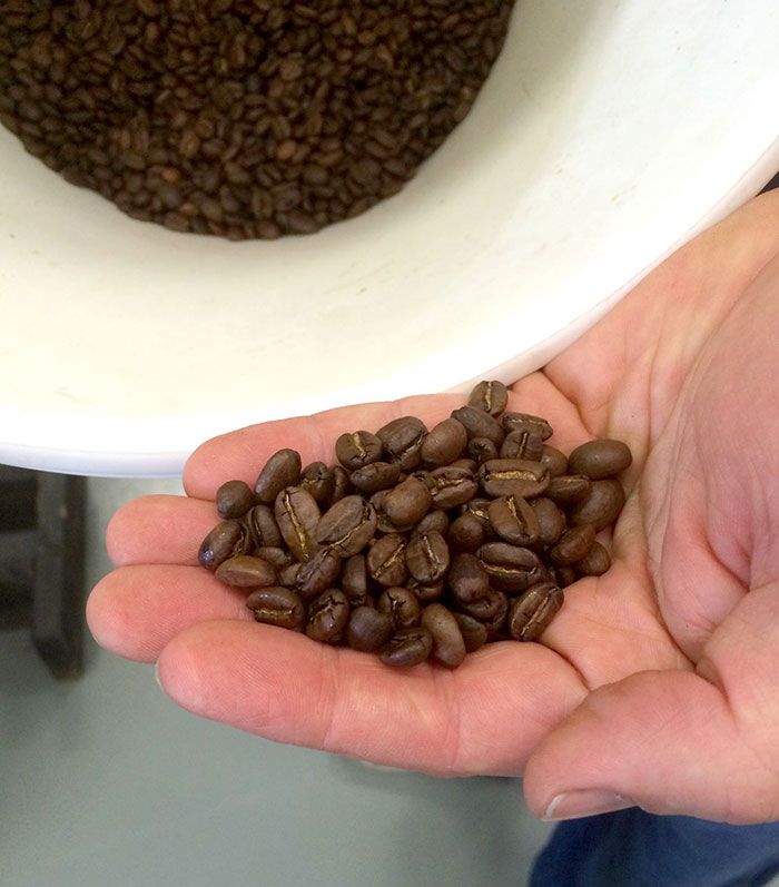 Coffee-Beans-Black-Powder