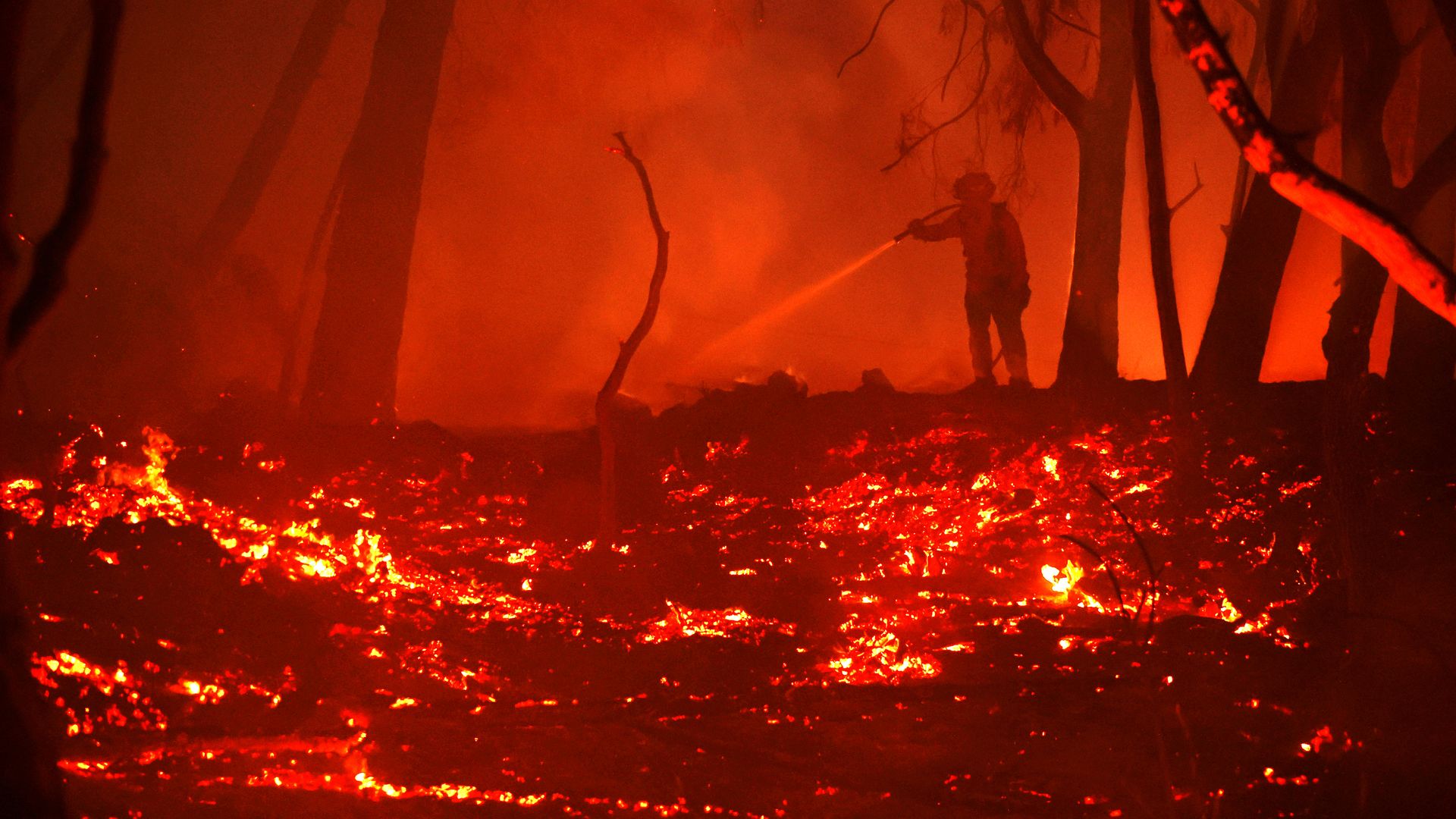 A firefighter sprays water on hot spots while battling the Glass Fire on October 01, 2020 in Calistoga, California