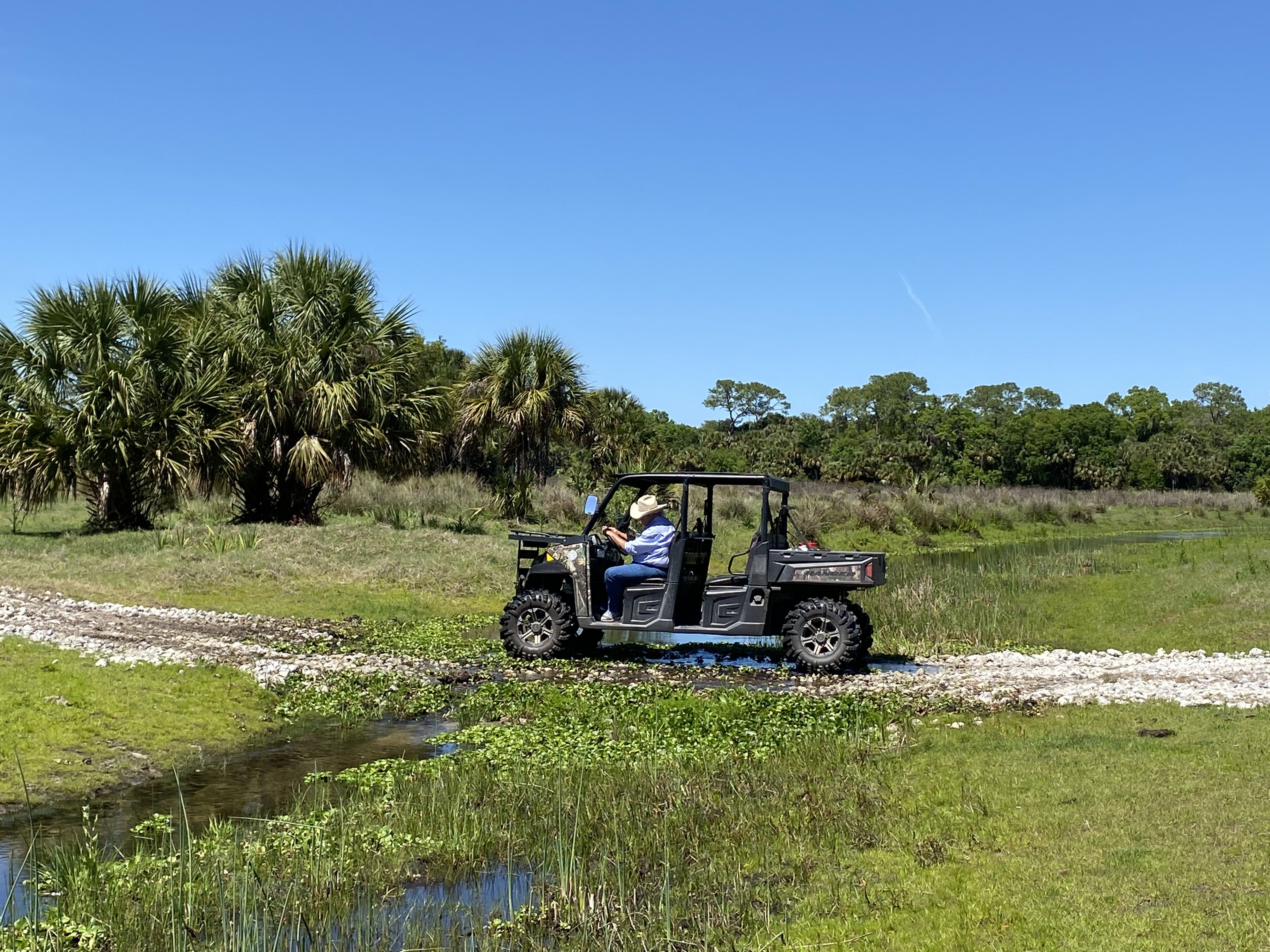 Strickland drives an ATV through the swamp, over a damn he built.