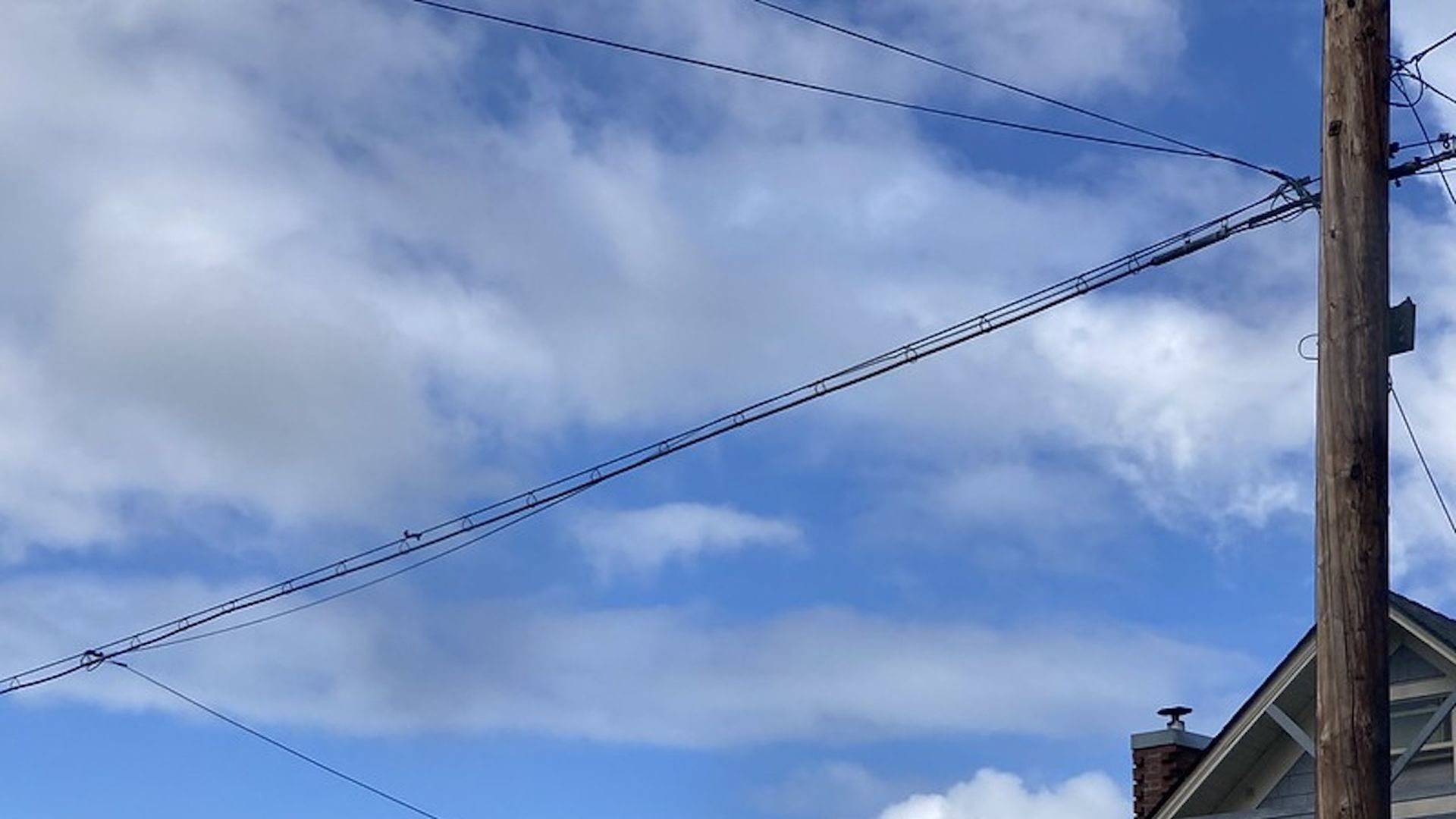 A photo of a lead-sheathed telecom cable in a Portland neighborhood.