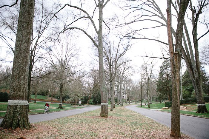 Take a weekend drive – 11 photos of Queens Road West - Axios Charlotte
