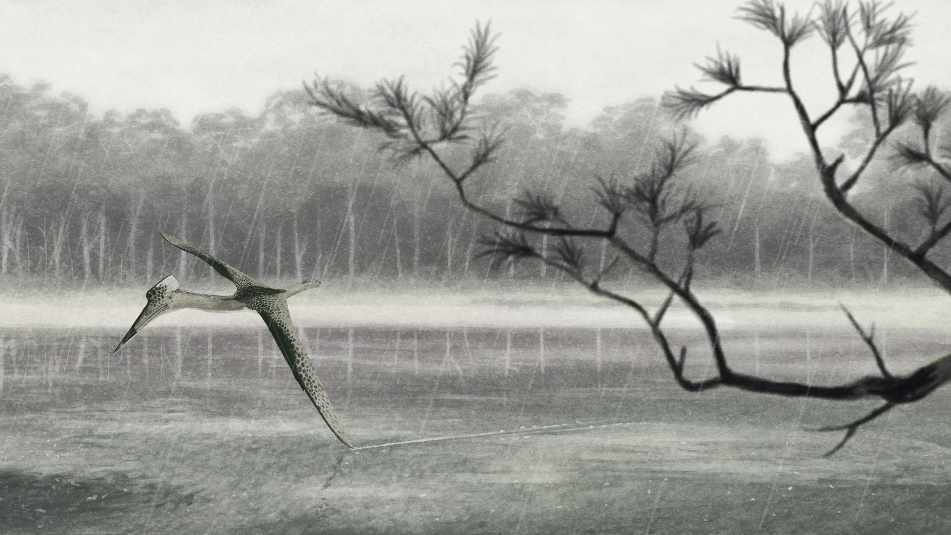 An artist’s interpretation of a new species of Quetzalcoatlus.