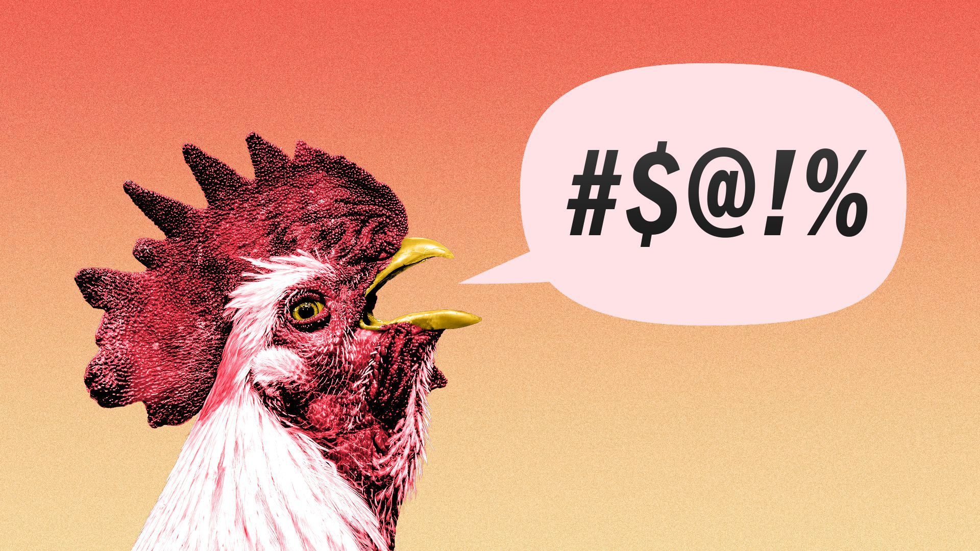 Illustration of a rooster, with a word balloon coming out of its mouth with swearing-substitute symbols in it.