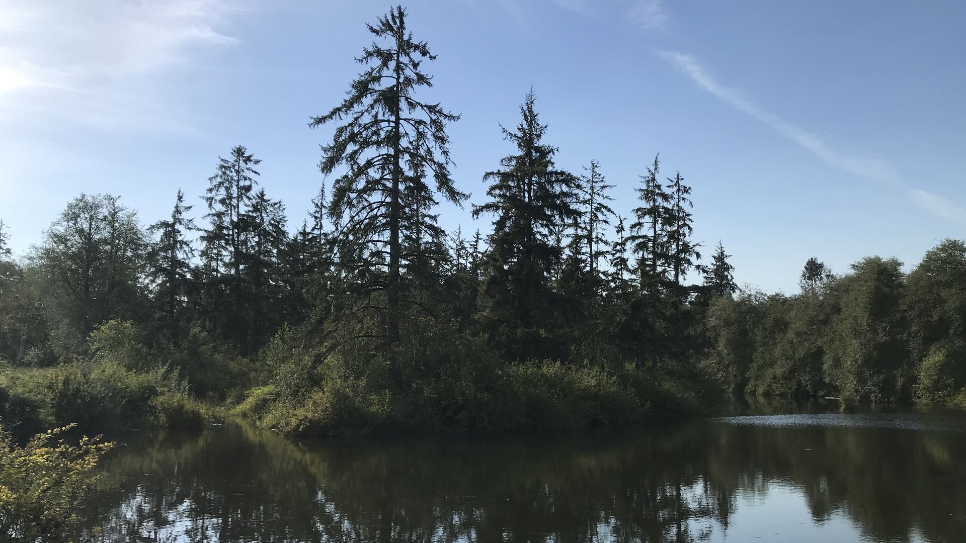 A photo of a tidal swap with a river running through it.
