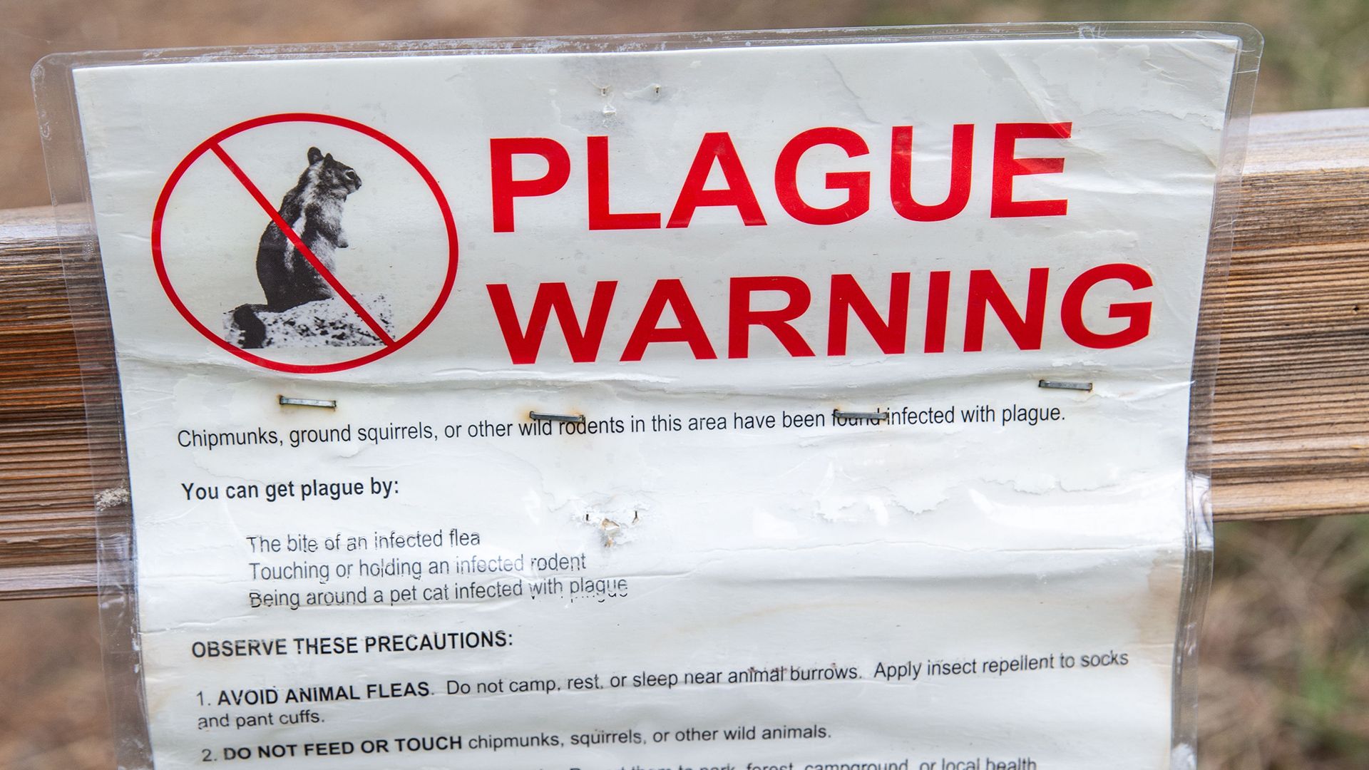 A white warning sign with red text reading "PLAGUE WARNING" and a crossed-out image of a ground squirrel, warning that chipmunks and other rodents in the area may carry plague.