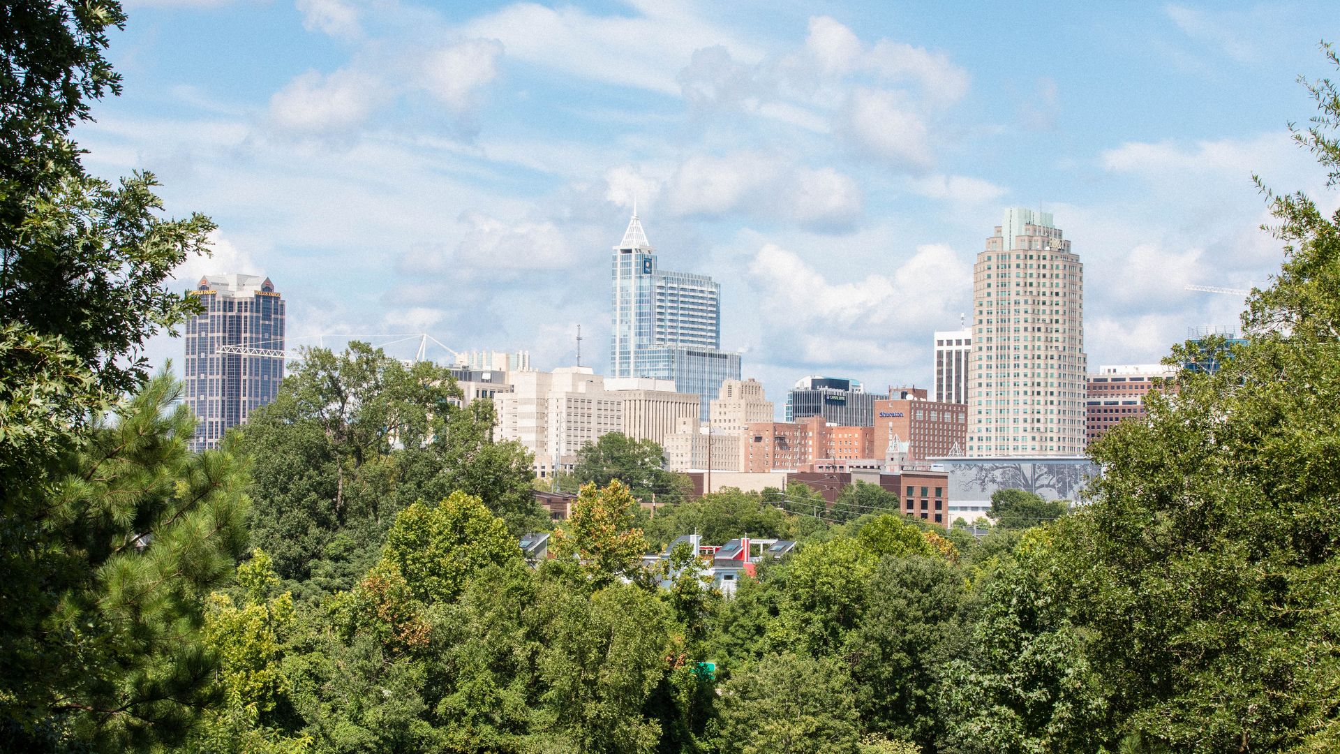 Raleigh's skyline as seen from Dix Park