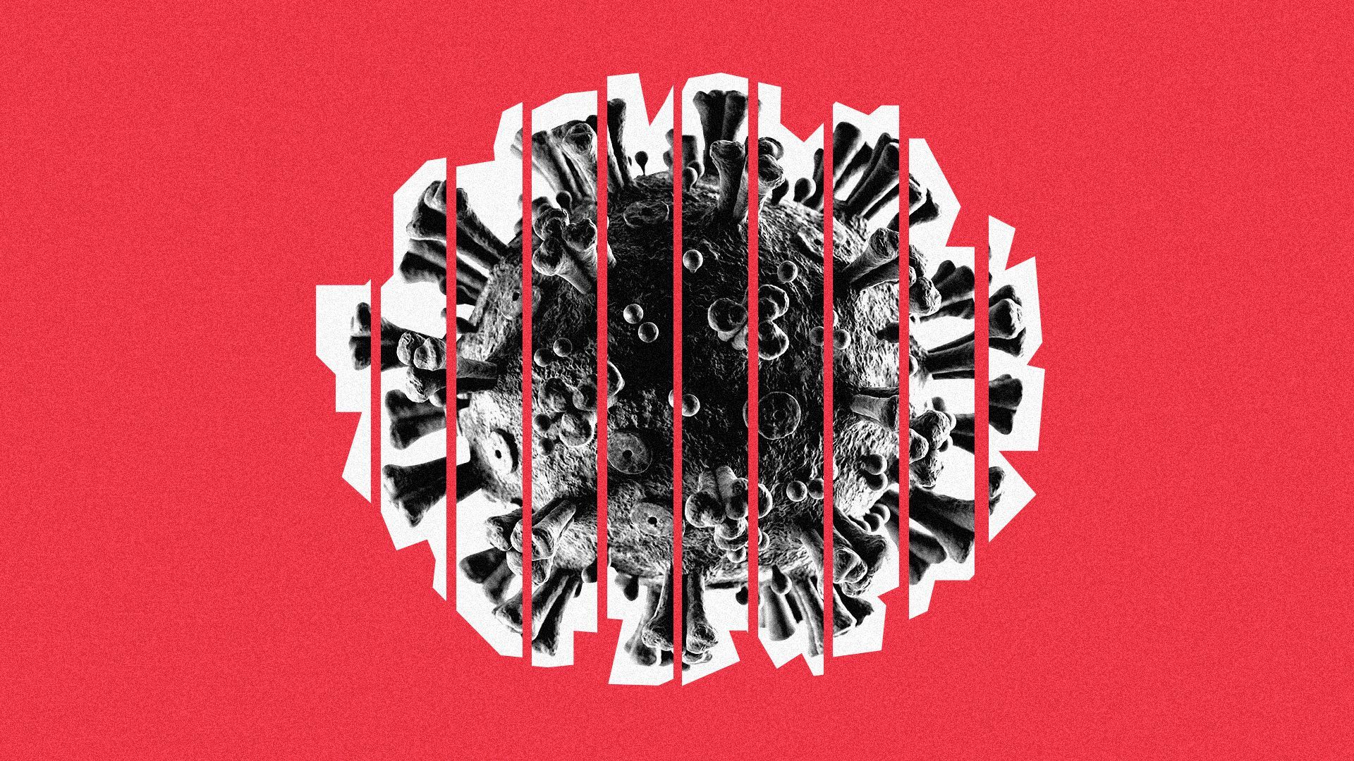 Illustrated collage of a cut up coronavirus cell.