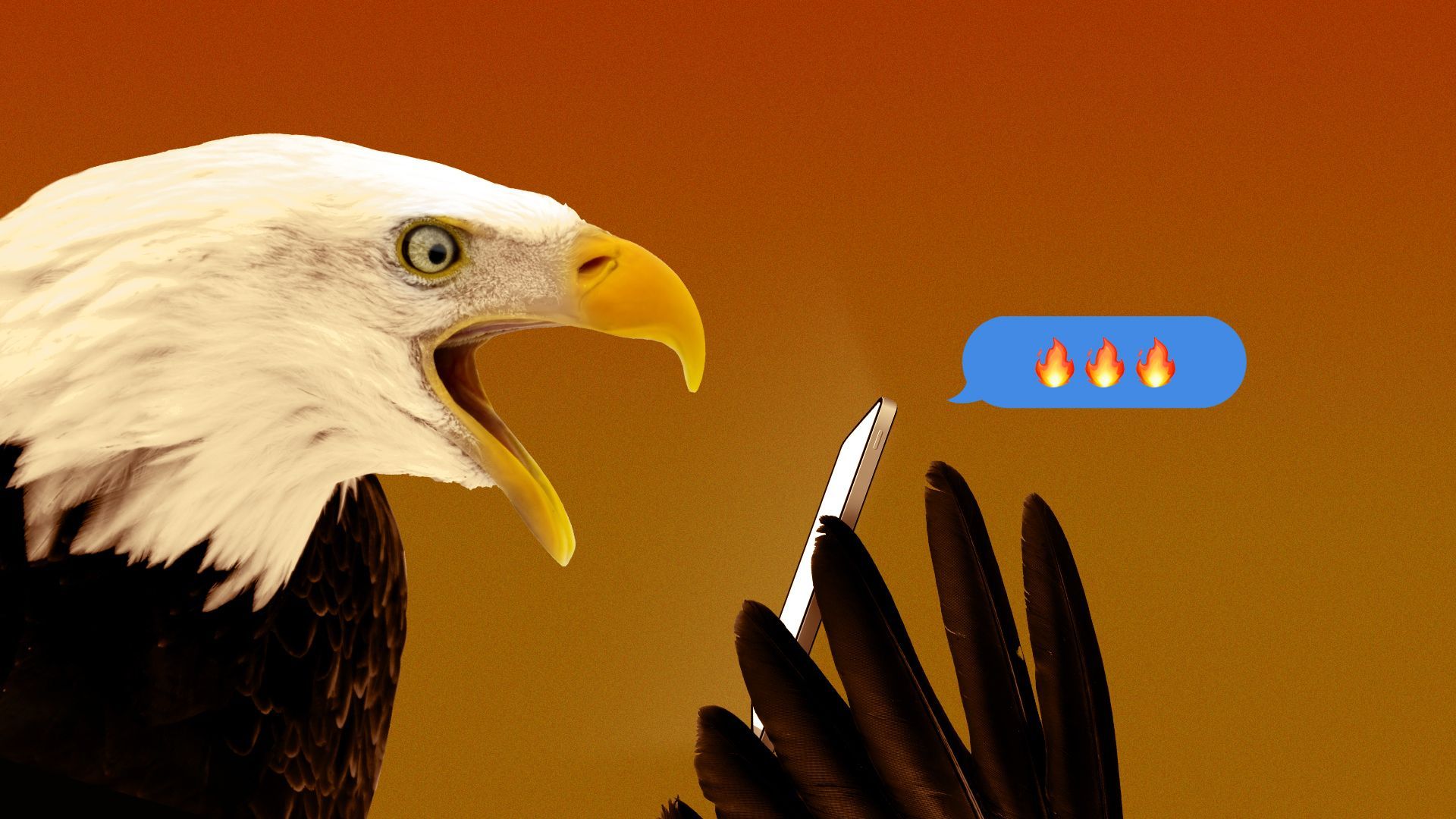 Illustration of a shocked eagle looking at a phone, reading a message bubble that has flame emojis.