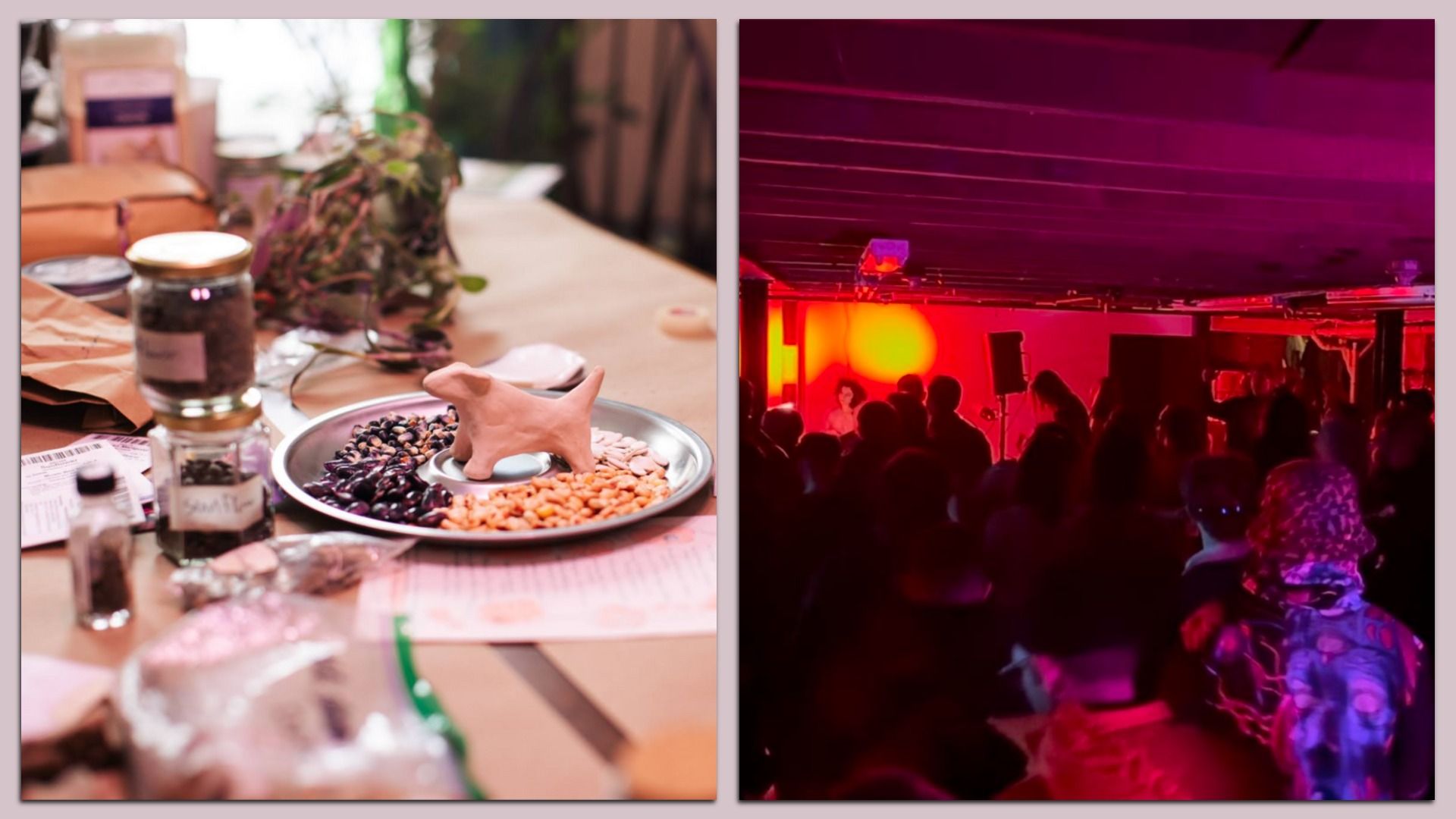 Two images side by side: left shows a table with jars, beans, and a small clay dog figure on a plate; right shows a dimly lit room with a crowd facing a stage under red and purple lights.