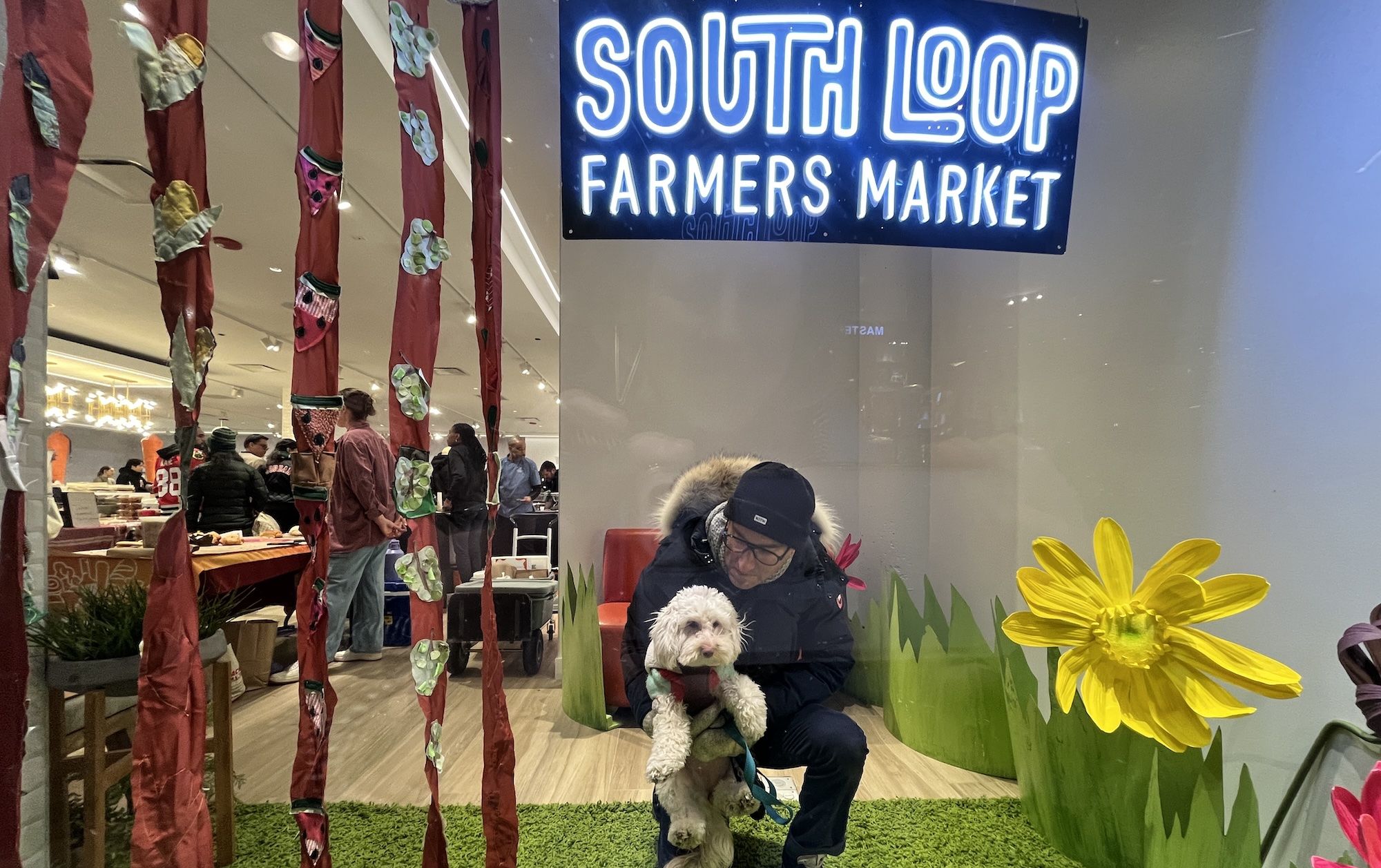 Man in coat and knit cap kneeling on one knee holding a white dog on fake grass under a sign that reads South Loop Farmers Market