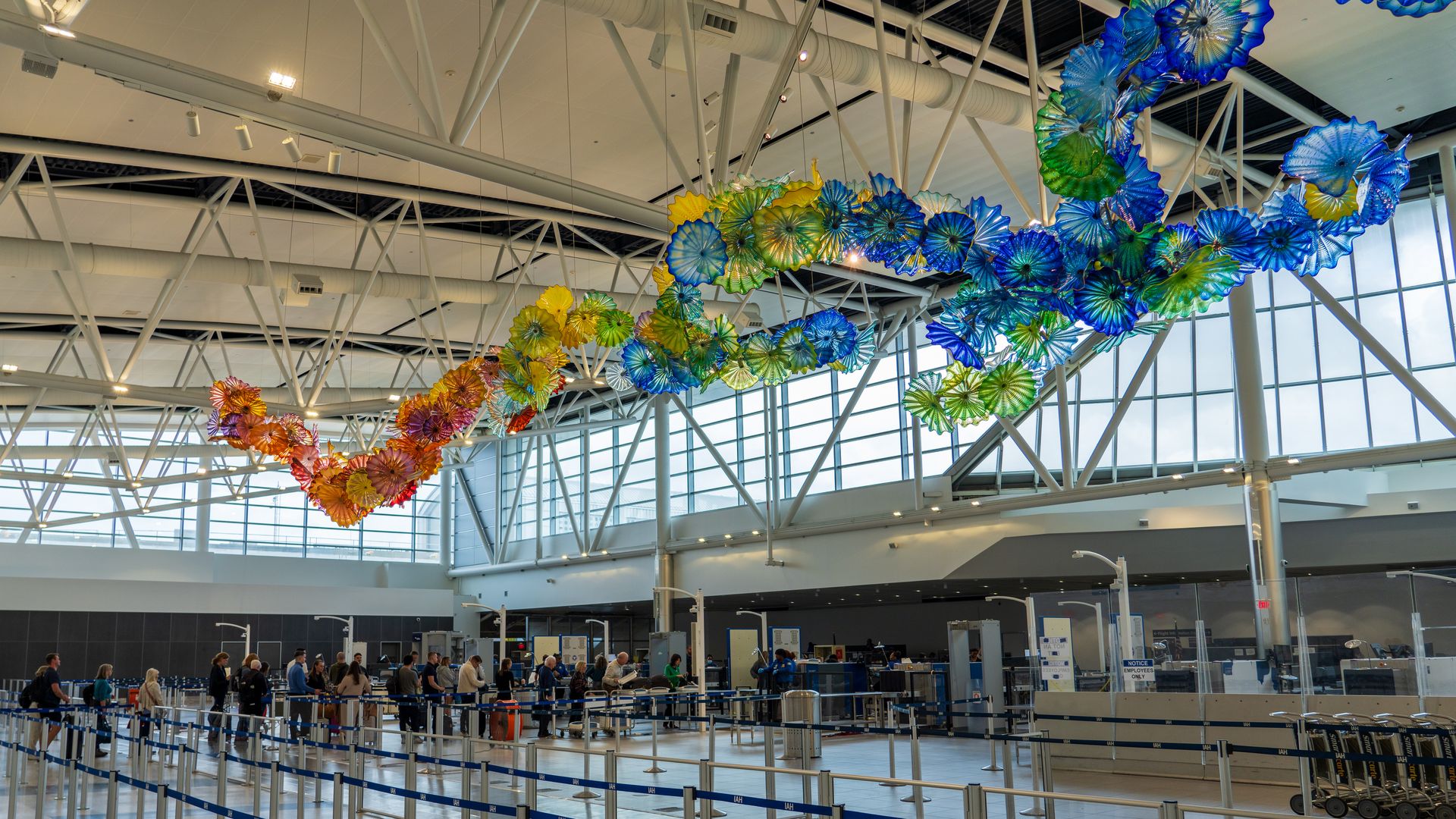 Photo of glass sculptures hanging from the celing. 