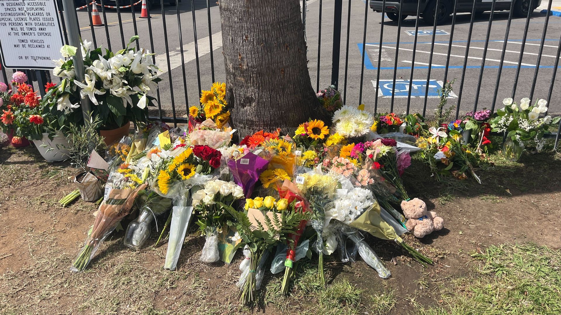 Tree in a fenced parking lot surrounded by numerous flower bouquets at its base; police SUVs and cars are visible in the background, with a signboard on the left.