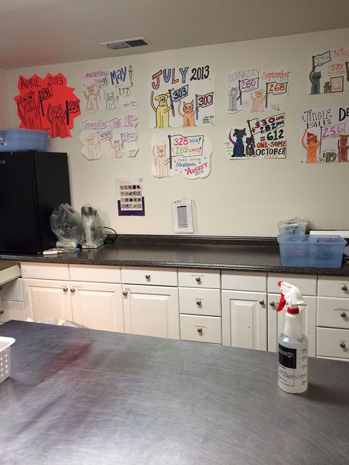 inside-spay-neuter-charlotte