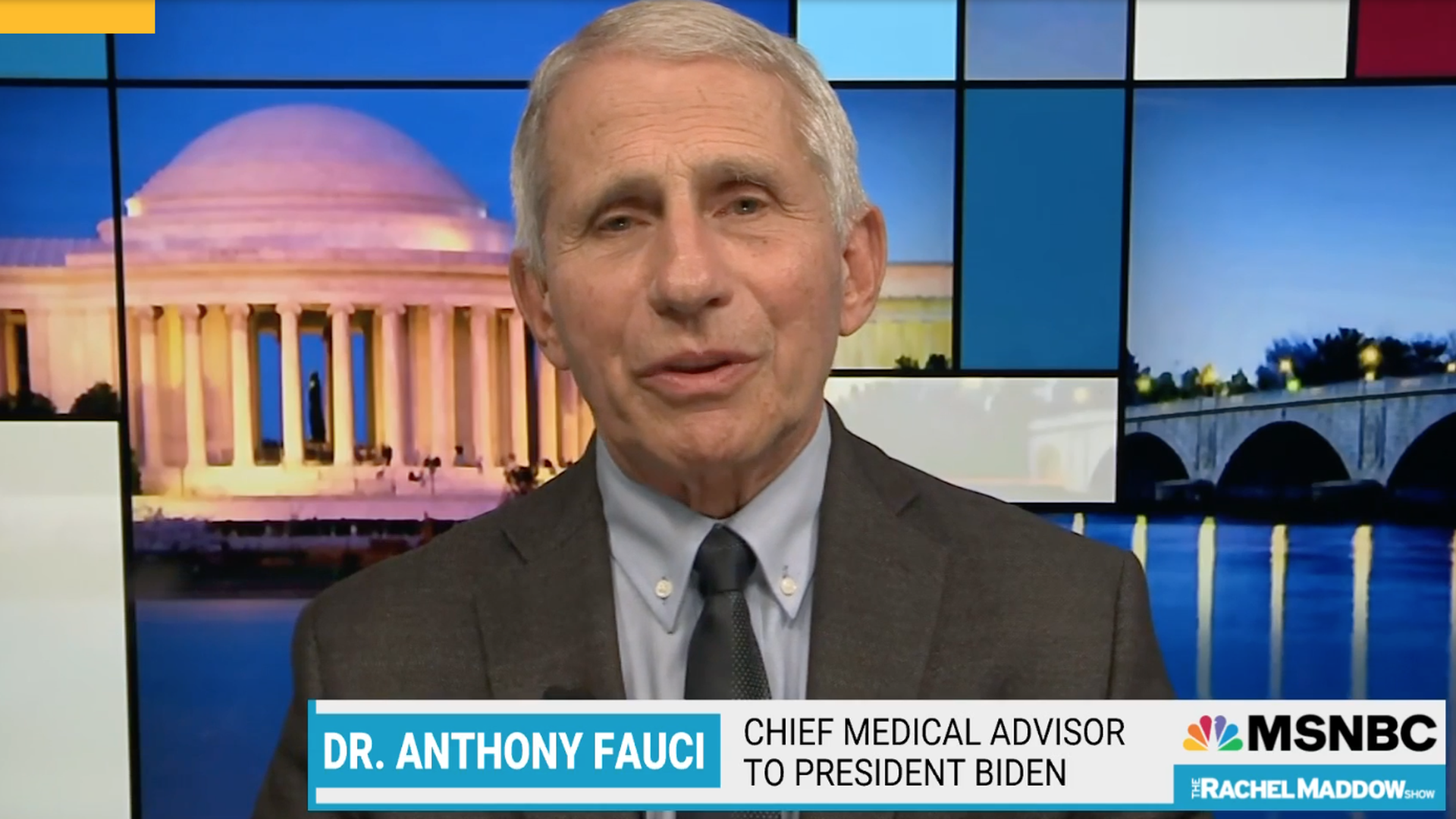 A screenshot of NIAID Director Anthony Fauci on "Rachel Maddow" on Monday night.