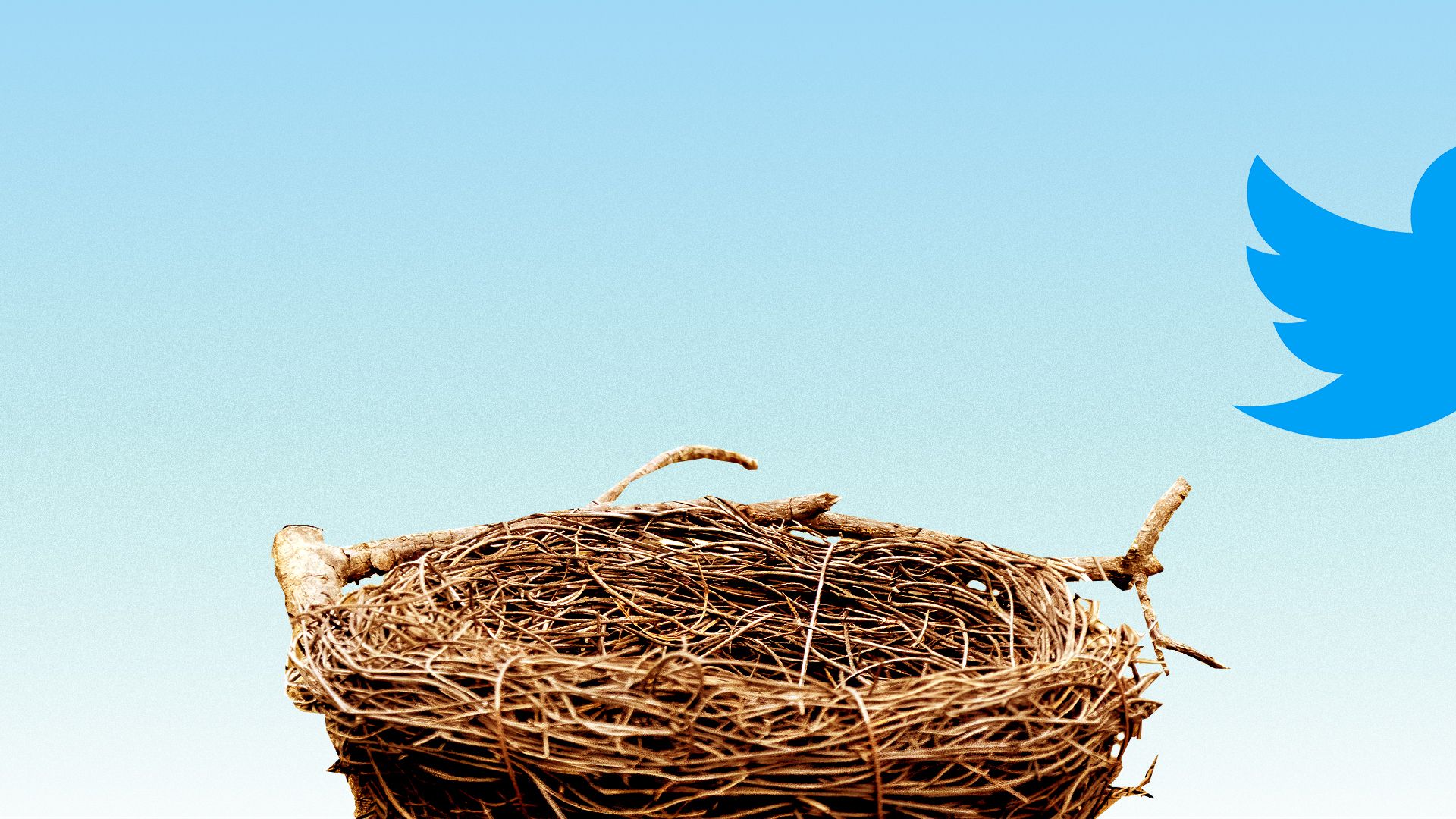 This is a tweet flying the nest