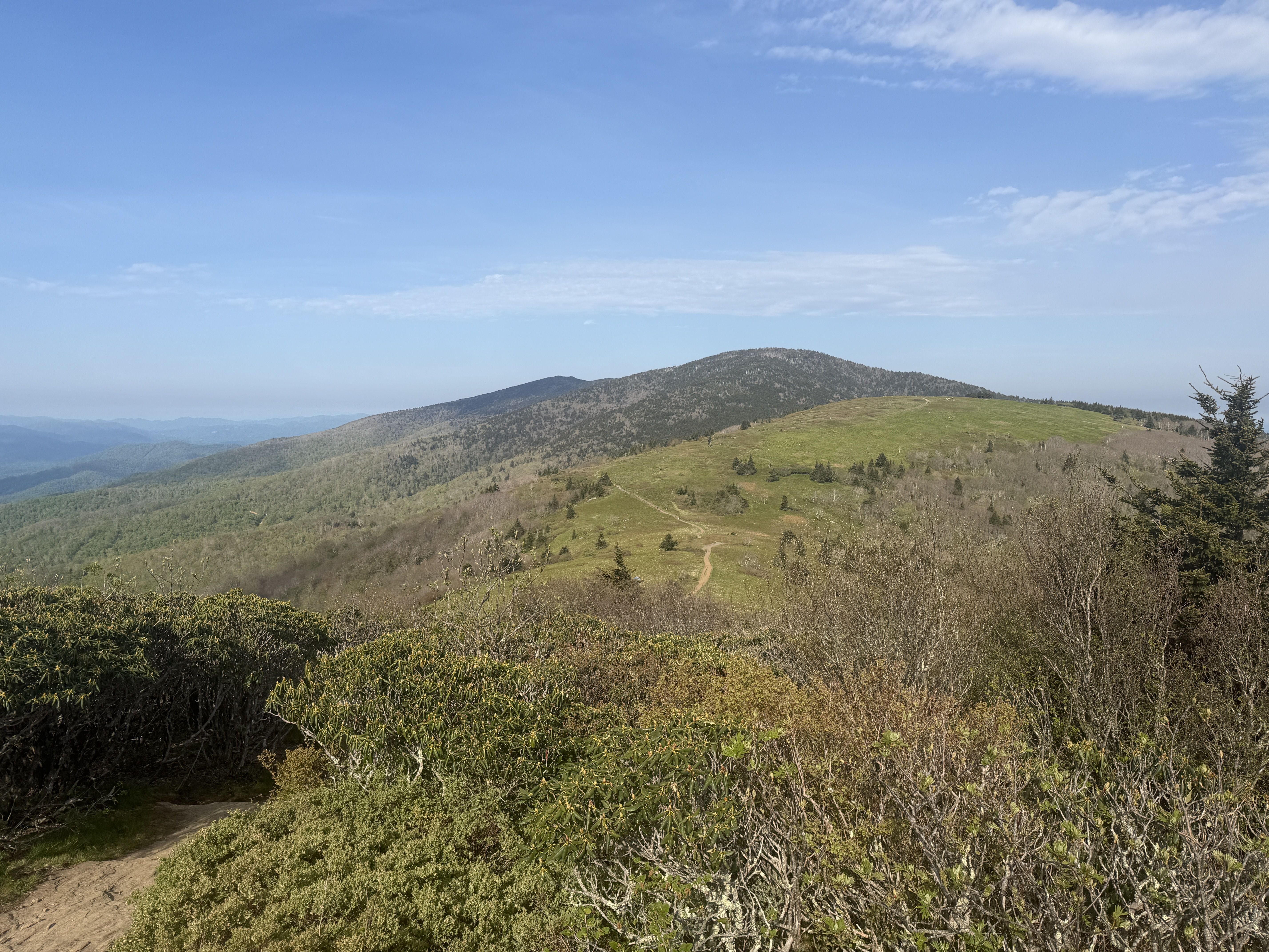 Wide landscape of rolling hills under a clear blue sky with few clouds. A dirt path winds through green grass and shrubs toward distant mountains, with scattered trees on the hillside.