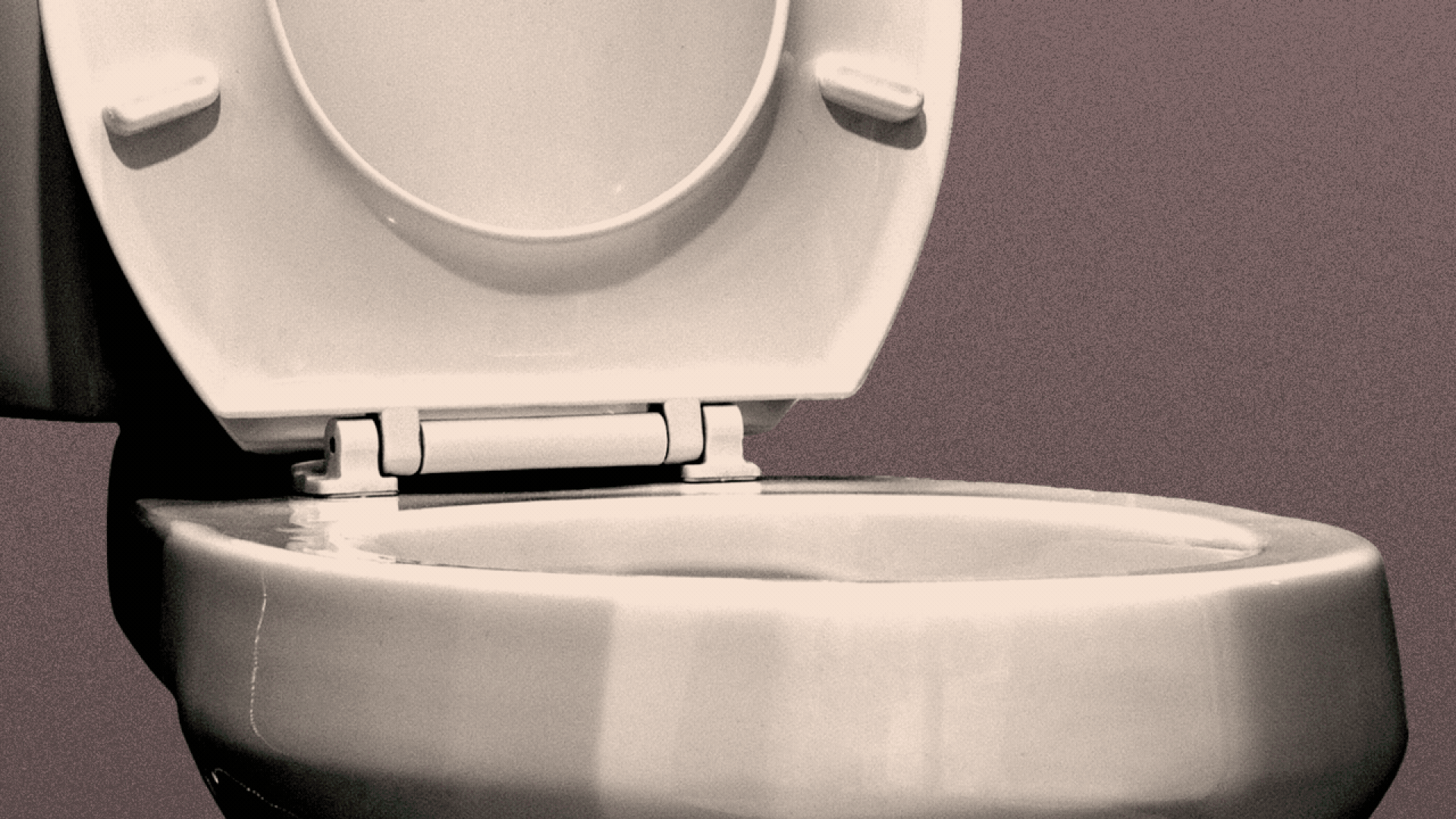 Squat with caution: Tips for avoiding Florida's toilet invaders