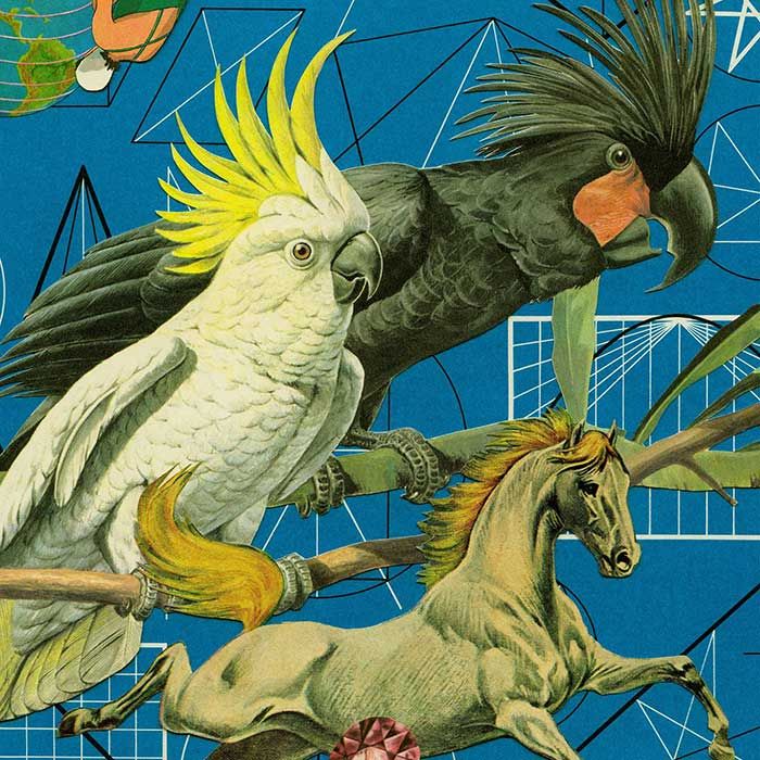 Lemanski-McColl-Center