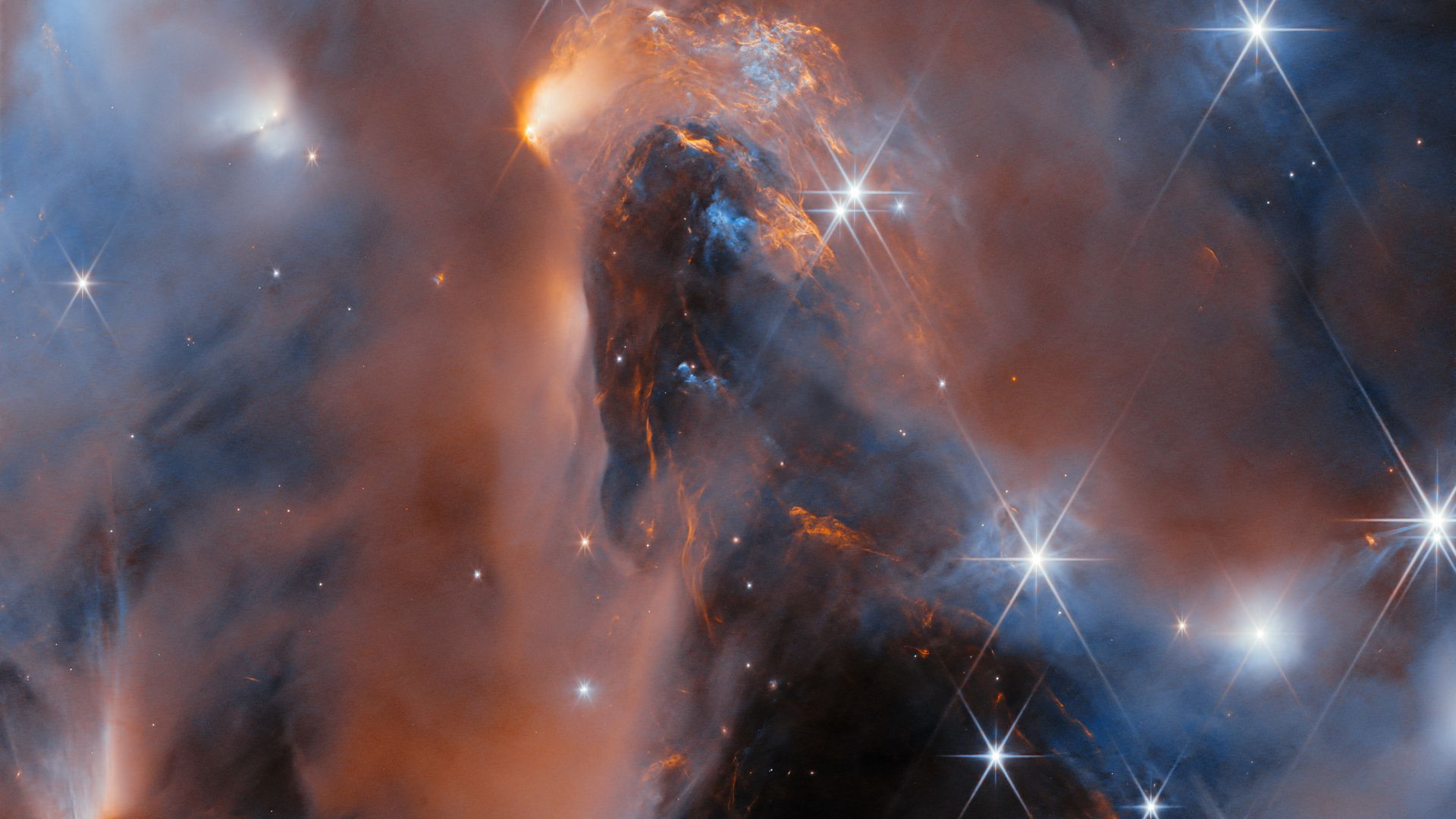 Image from the James Webb Space Telescope spectroscopic survey of NGC1333. Credit: ESA/Webb, NASA & CSA, A. Scholz, K. Muzic, A. Langeveld, R. Jayawardhana