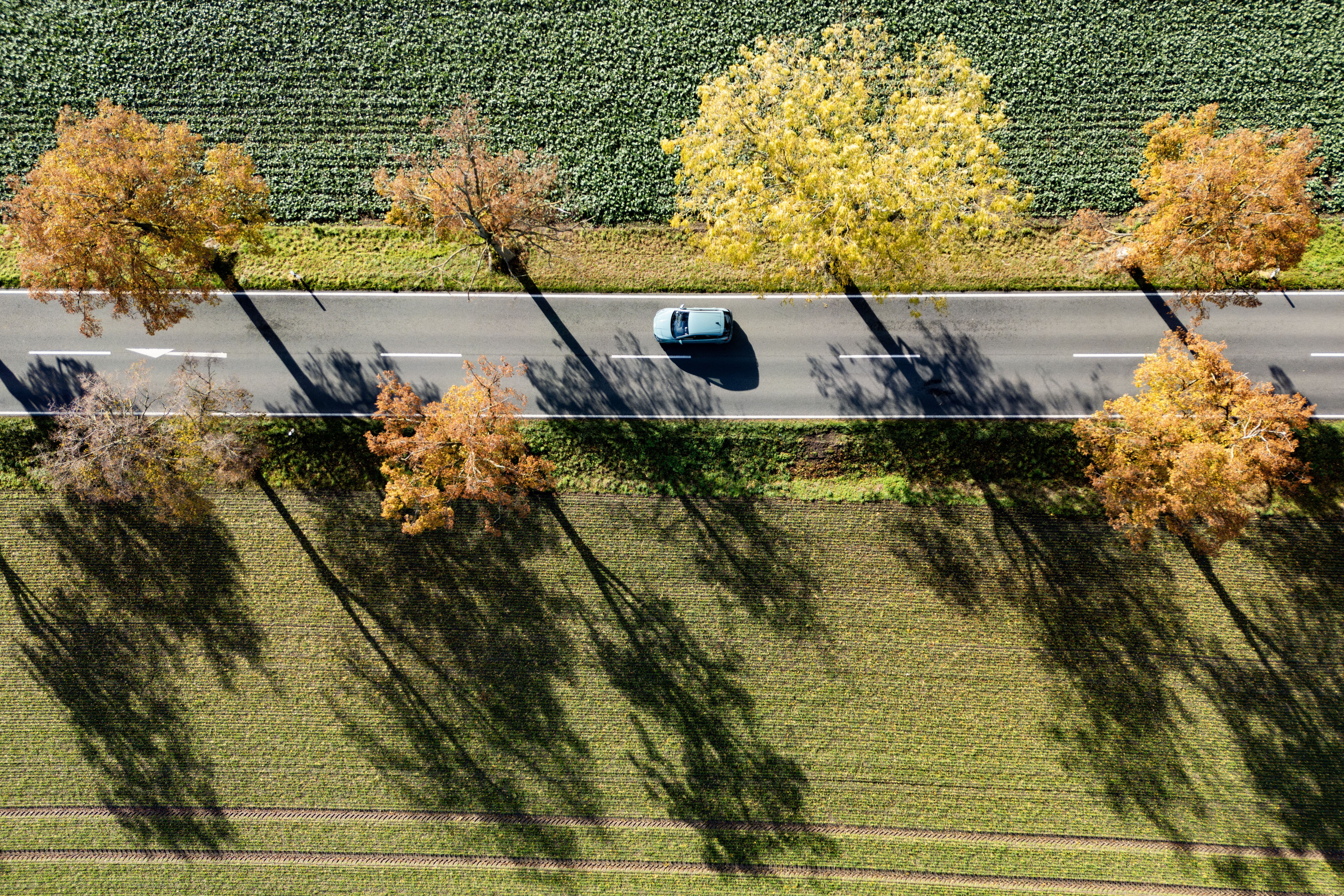 Aerial view shows a car driving along a road as the trees with autumnal leaves cast shadows on a farmer's field
