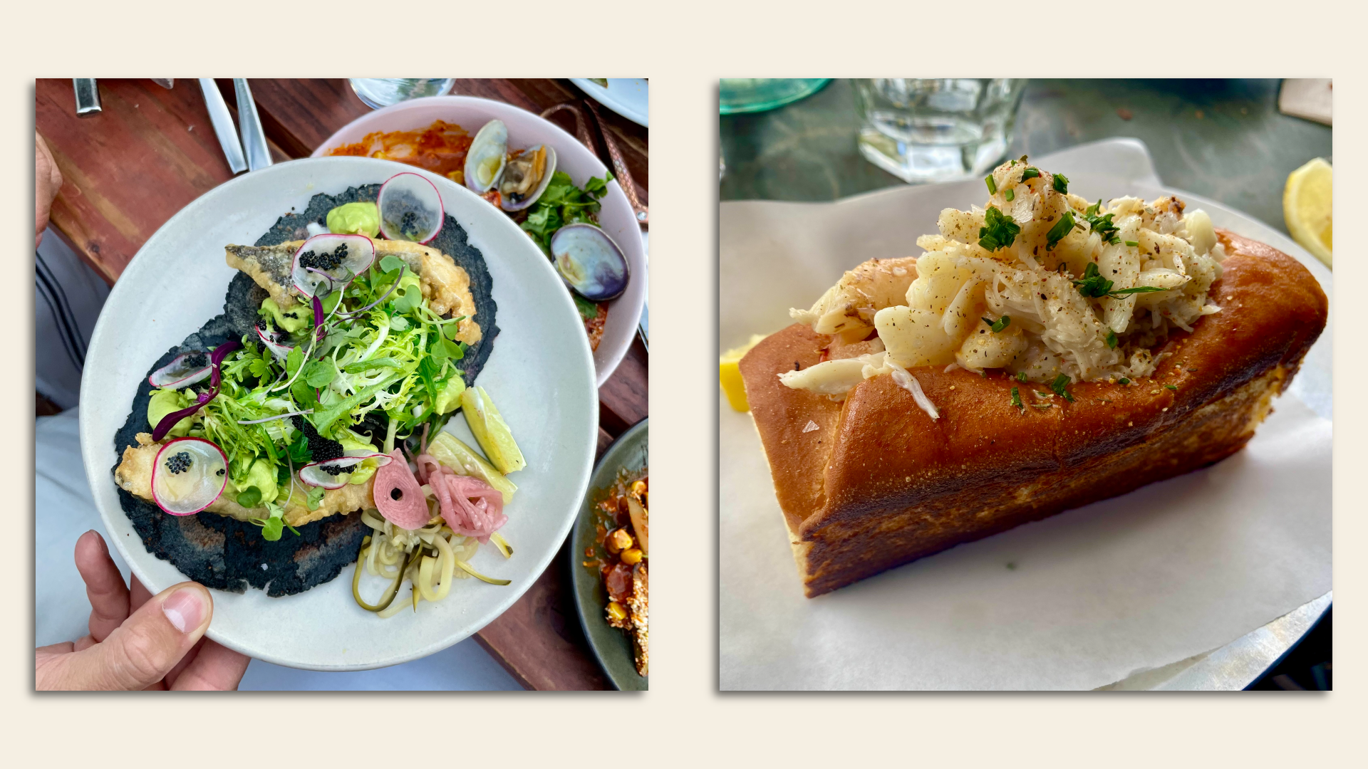 Two photos side by side: The one of the left depicts a hand holding a plate with a blue-corn tortilla taco and greens on top. The one of the right shows a crab roll on parchment paper.