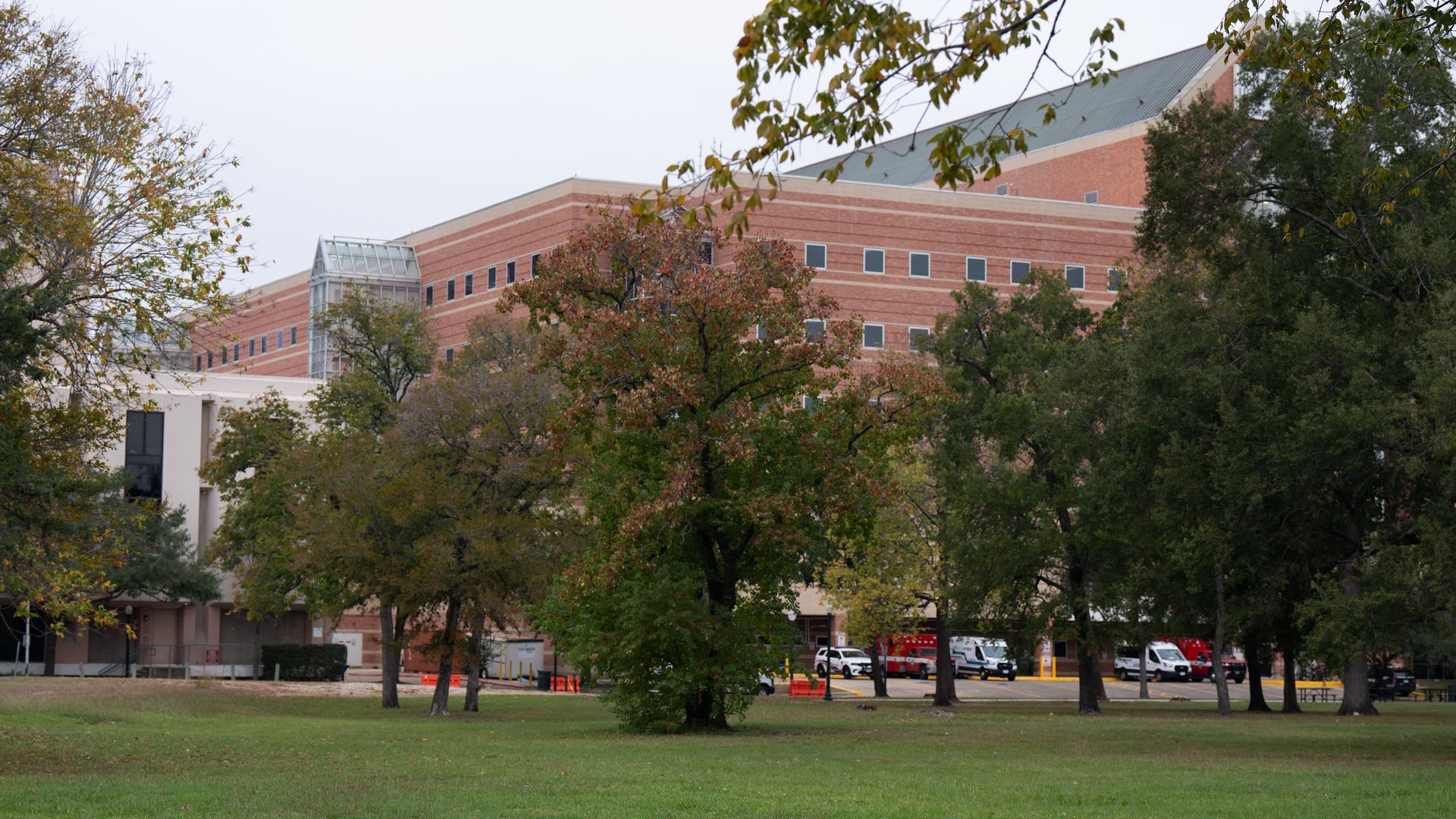 Portions of Hermann Park with Ben Taub Hospital in the background