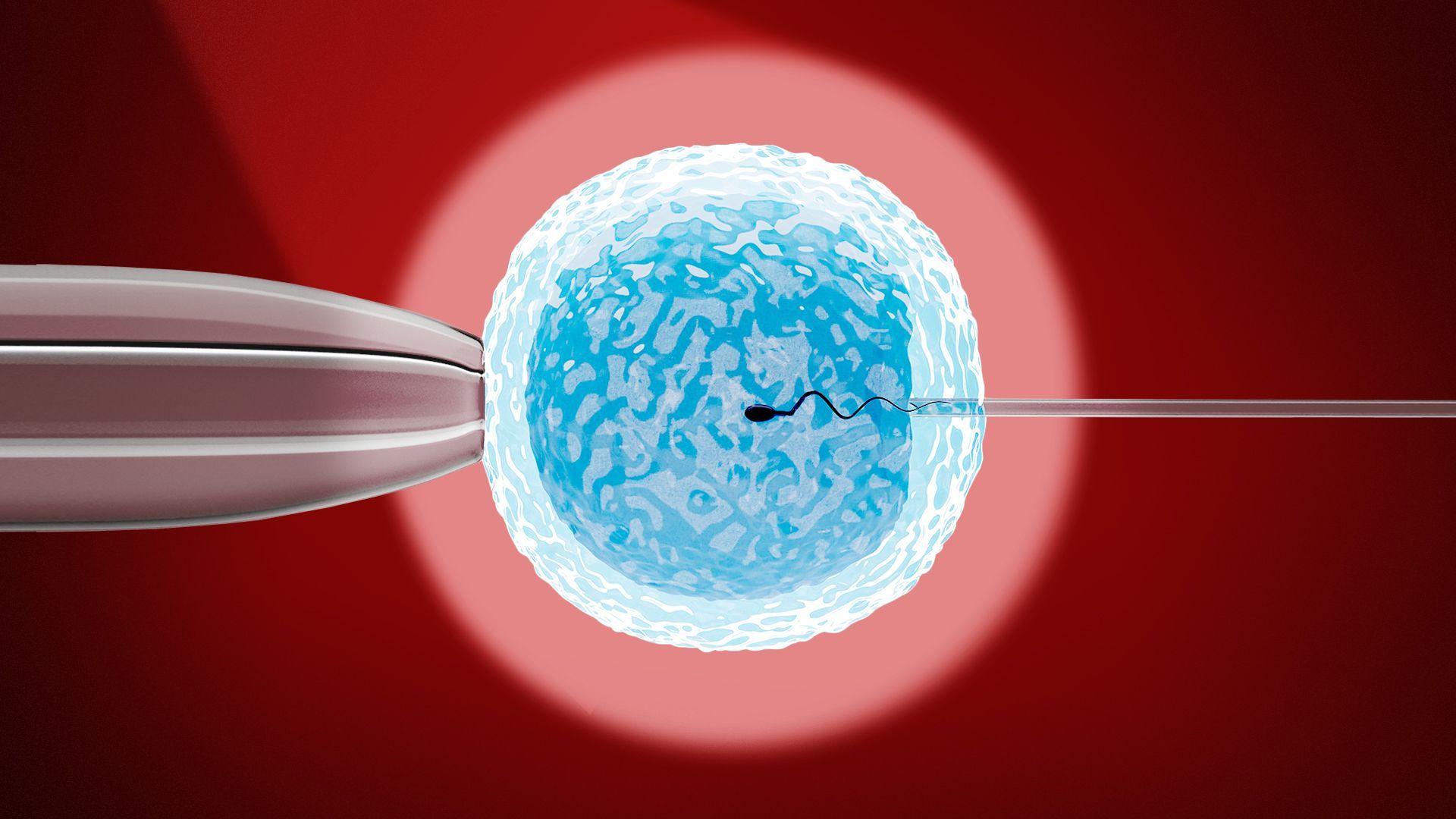 Illustration of a spotlight shining on an IVF injection close up.