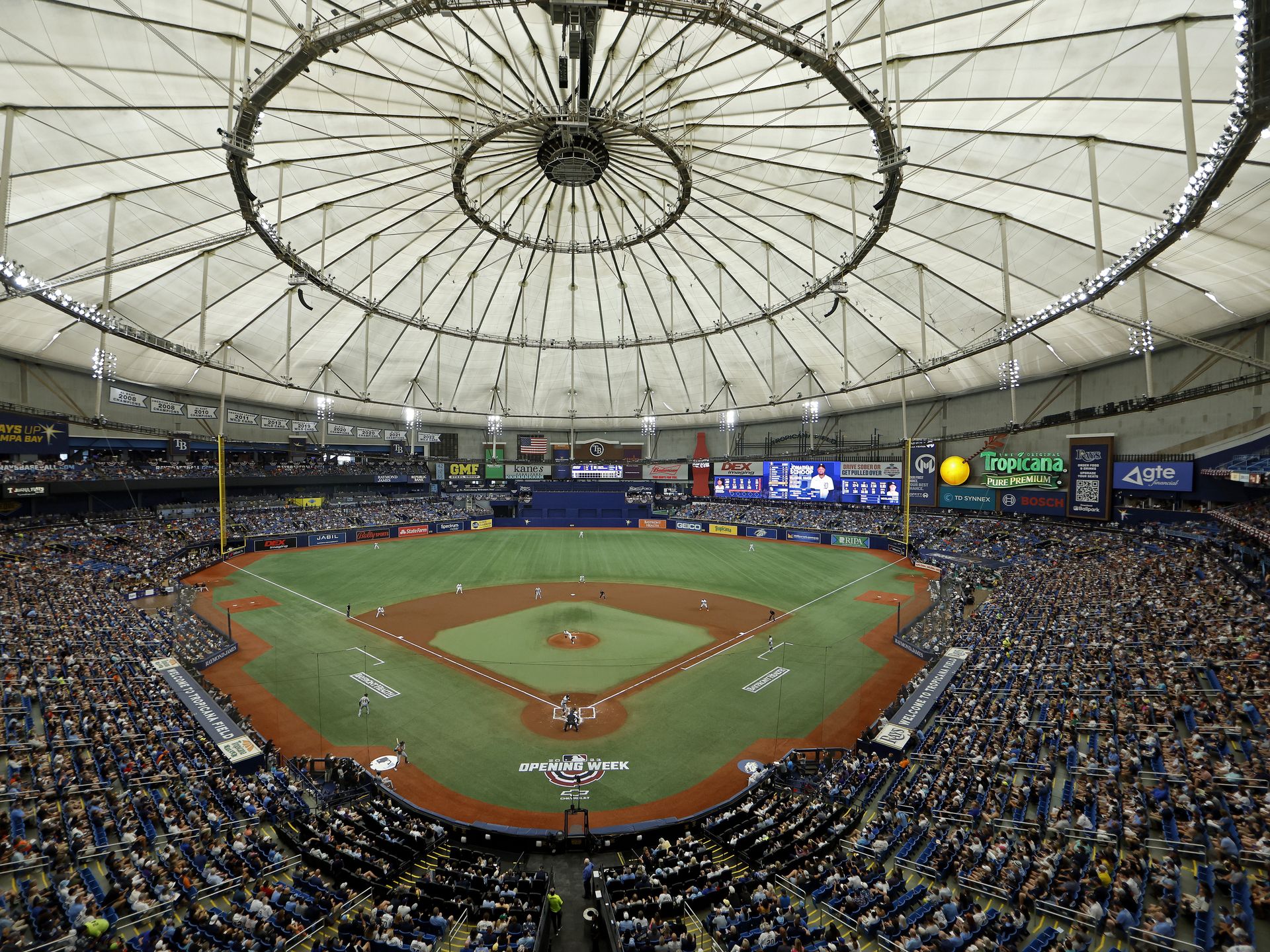 Download Tampa Bay Rays Symbol In Baseball Wallpaper
