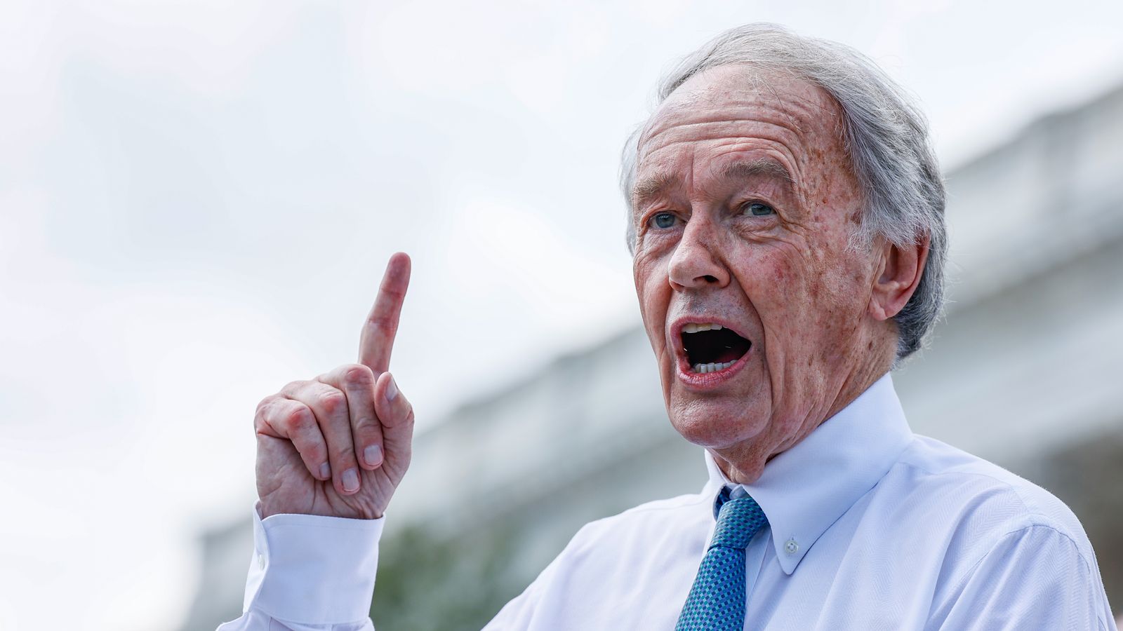 Serene Senator Markey Updates Artwork Illustration Serene Senator Markey Updates Artwork Illustration