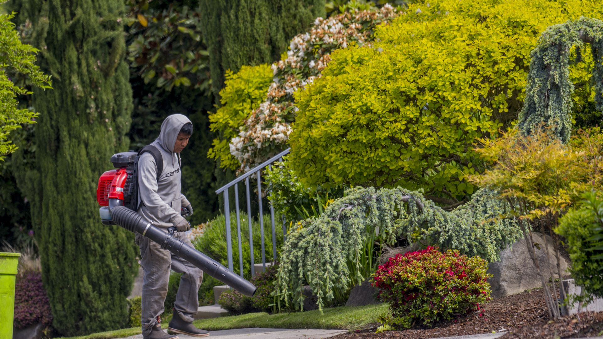 A person uses a gas-powered leaf blower to remove sidewalk debris.