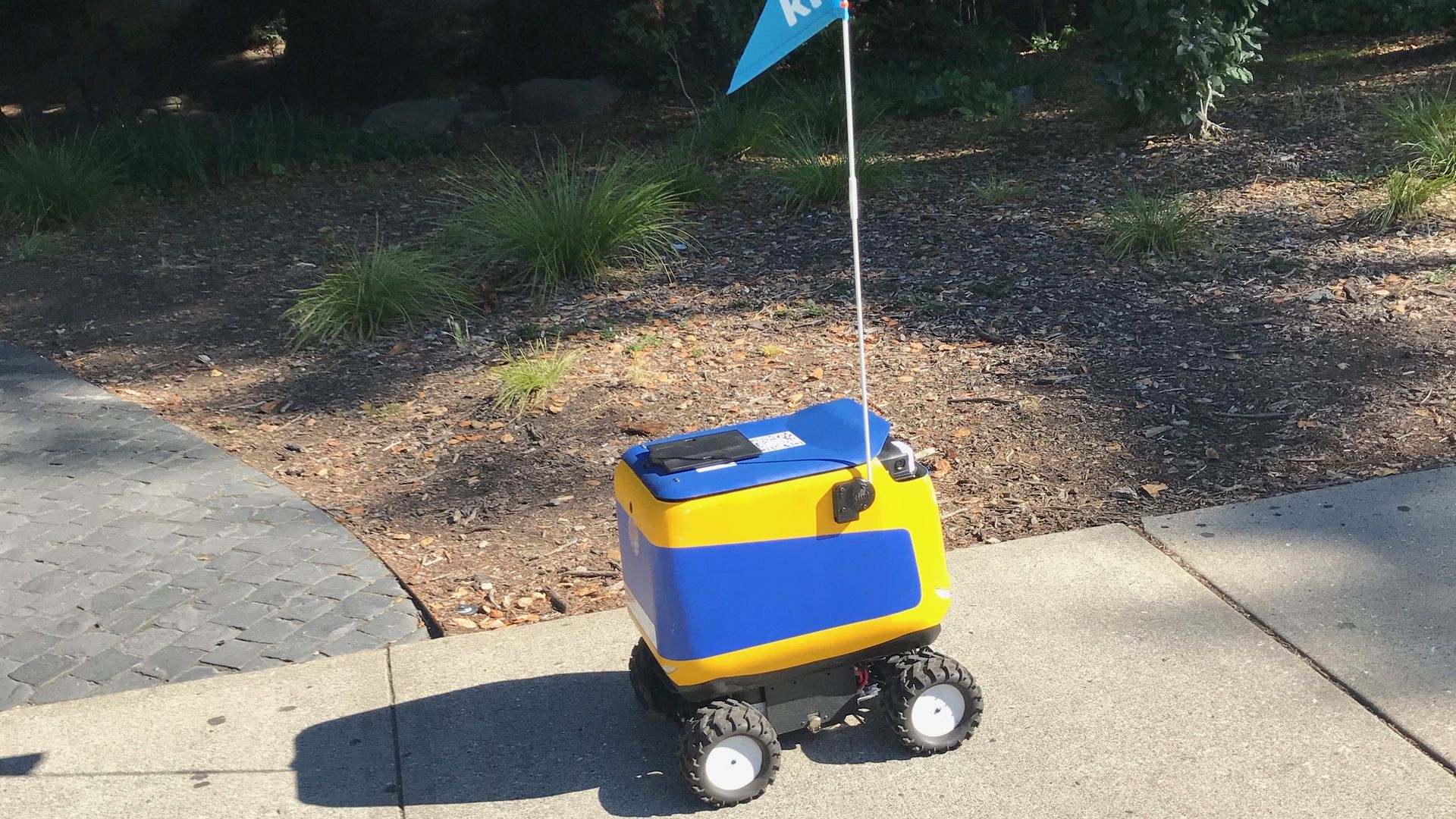 A blue and yellow sidewalk robot on the UC Berkeley campus.