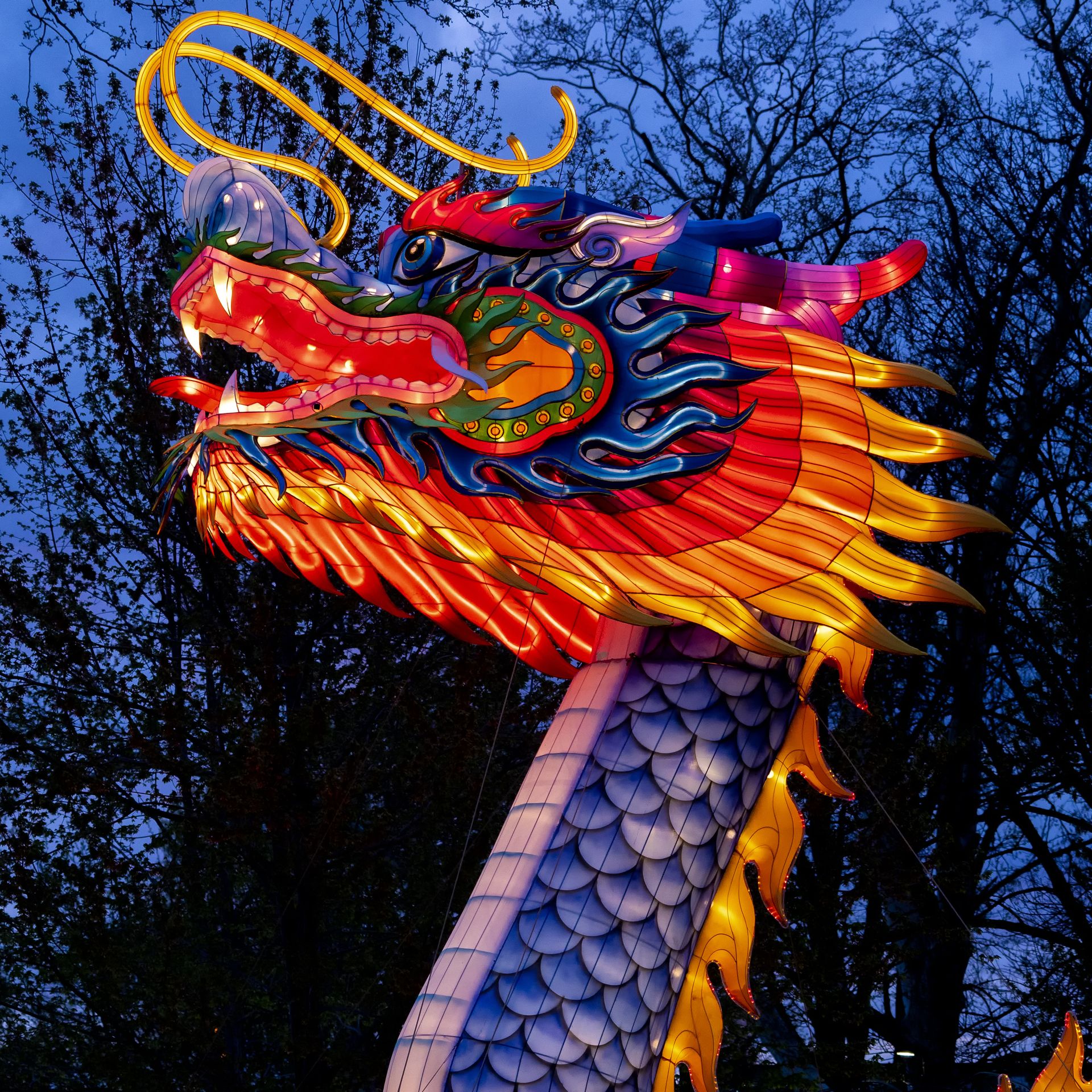 【希少パンフ】DRAGON THE FESTIVALTOURTM NETWORK Knoxville's first-ever Chinese Dragon Lights Lantern Festival