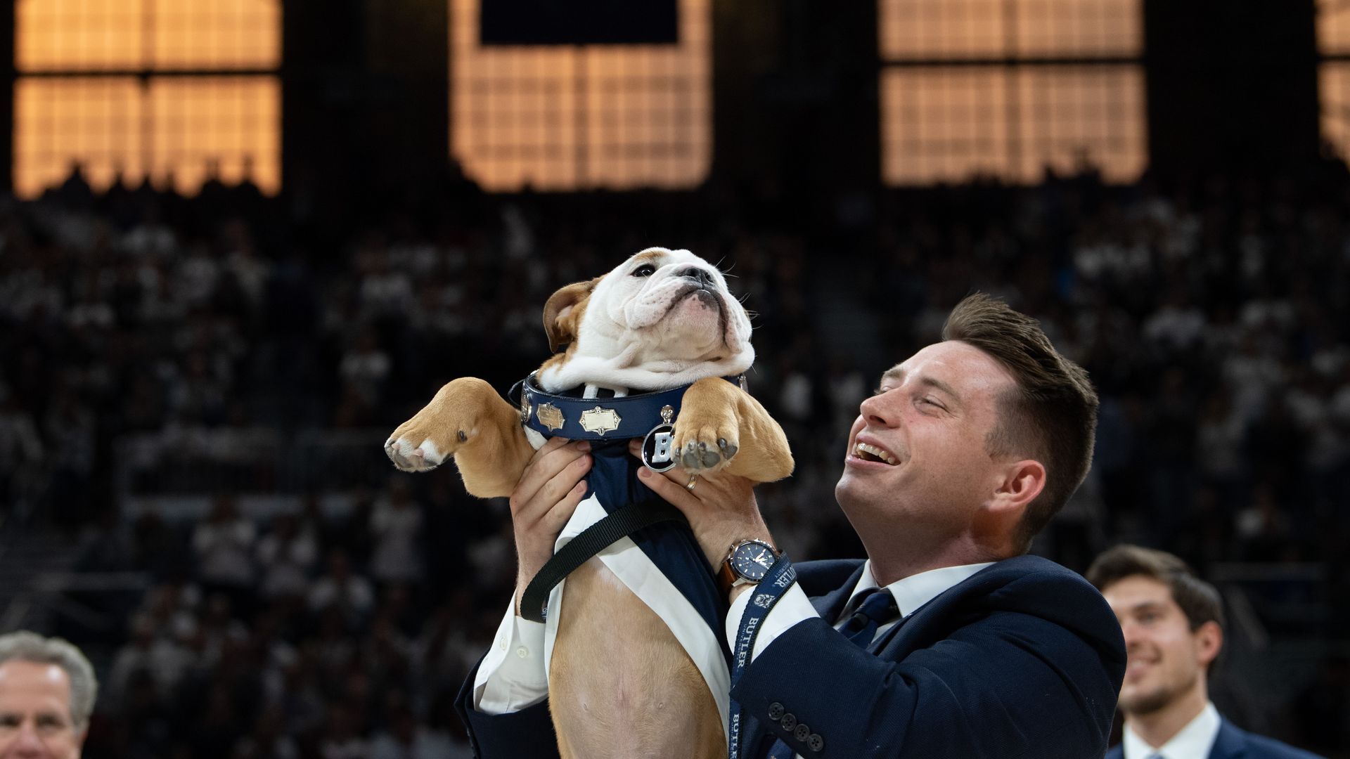 A man in a suit lifts a bulldog wearing a blue harness in a stadium, with a cheering crowd and warm orange windows in the background.