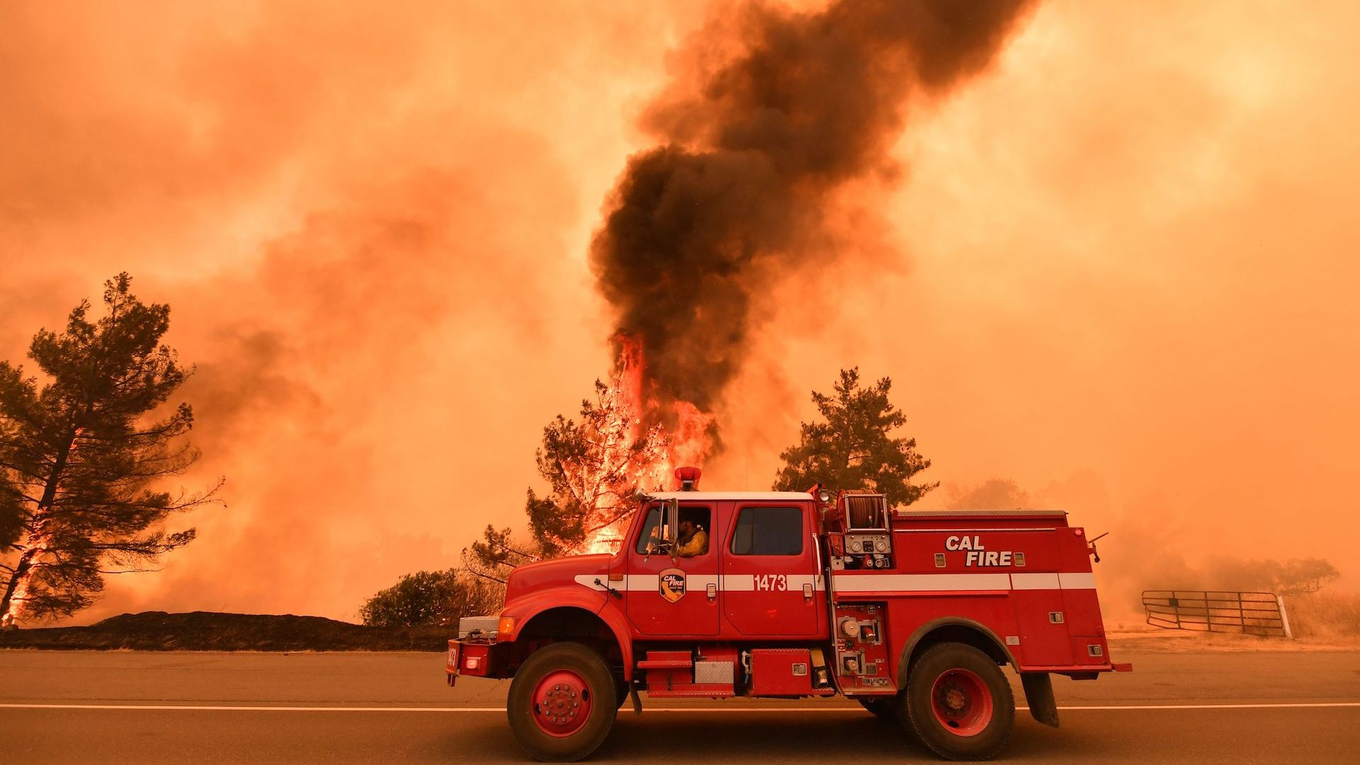 Firefighters work to control a fire as flames from the County Fire jump across Highway 20 near Clearlake Oaks, California, on July 1, 2018. 