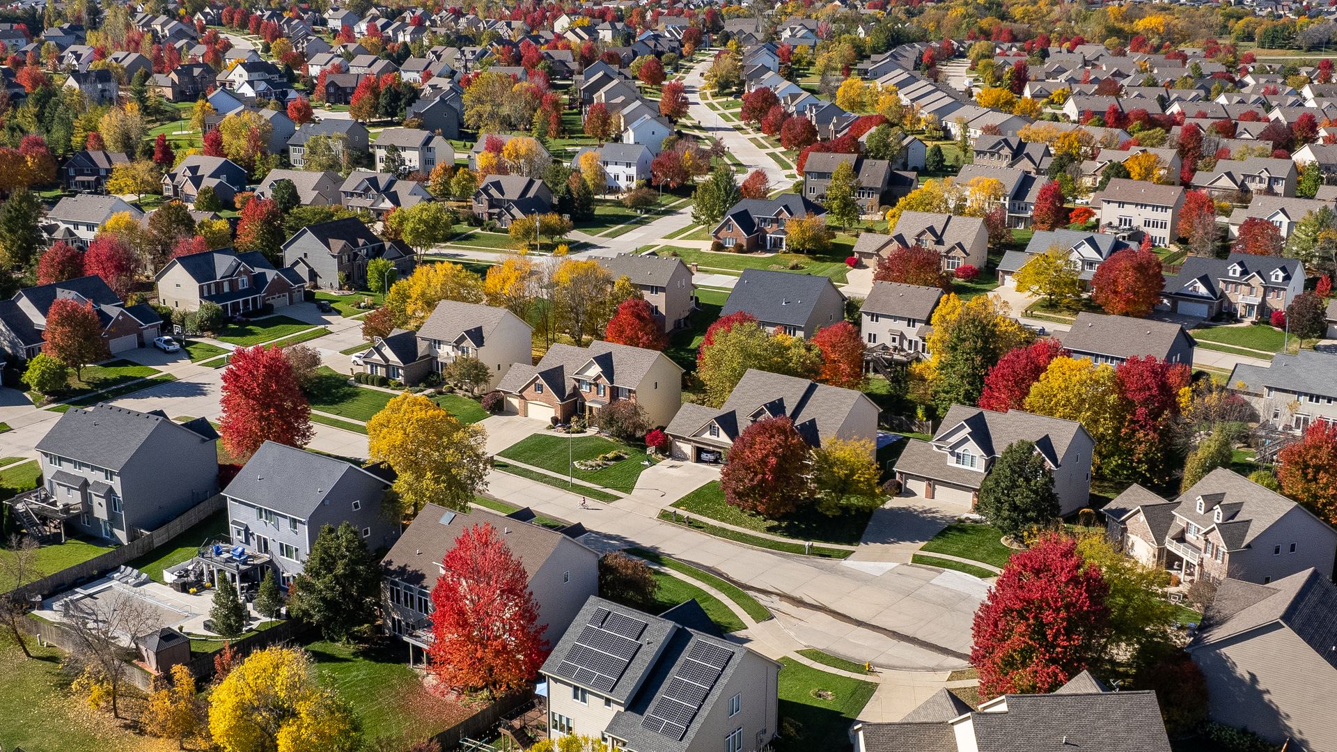 Aerial view of a suburban neighborhood in fall with houses, green yards, and trees showing vibrant red, yellow, and orange autumn foliage under a clear blue sky.