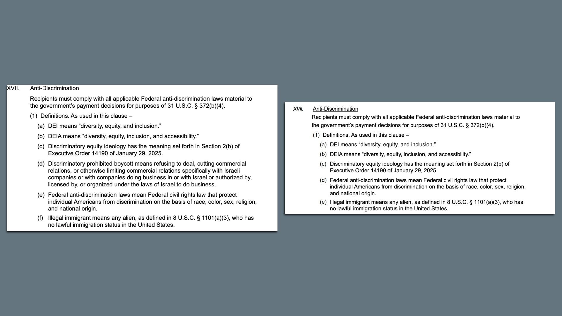 Two versions of a document titled Anti-Discrimination defining terms like DEI, DEIA, discriminatory equity ideology, prohibited boycott of Israeli companies, federal anti-discrimination laws, and illegal immigrant.