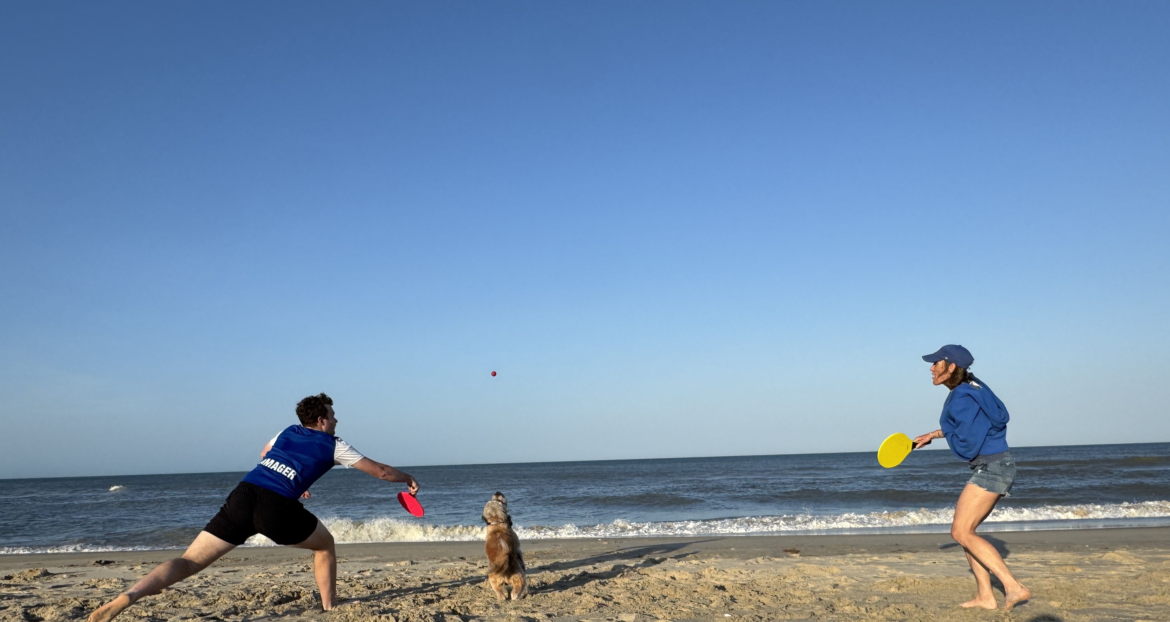Two people play frisbee on a sunny beach with a golden dog between them; a man in a blue vest and a woman in a blue hoodie throw a pinkish-red and a yellow disc toward a centered dog as waves roll in.