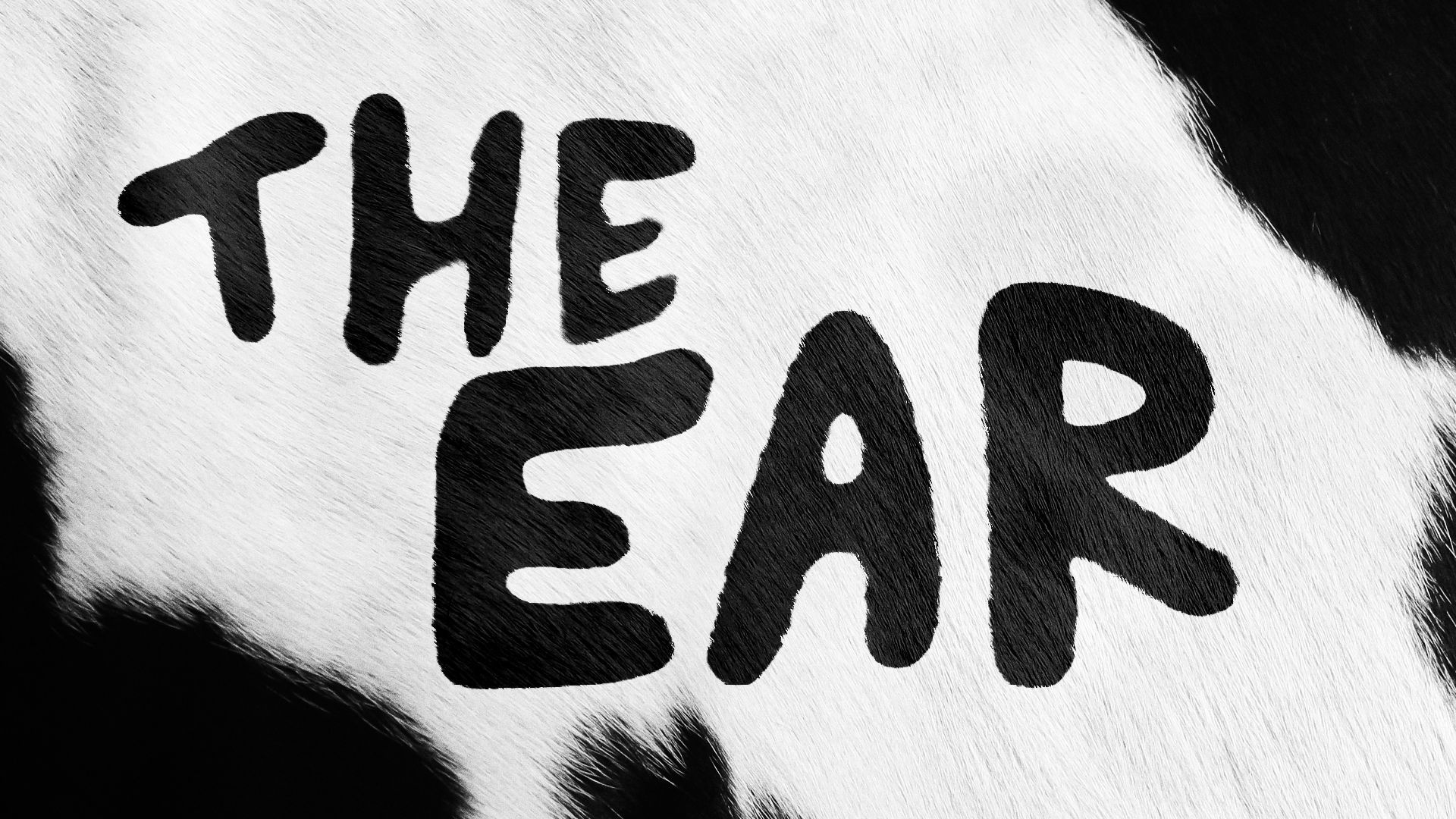 Illustration of cow spots that spell "The Ear." 