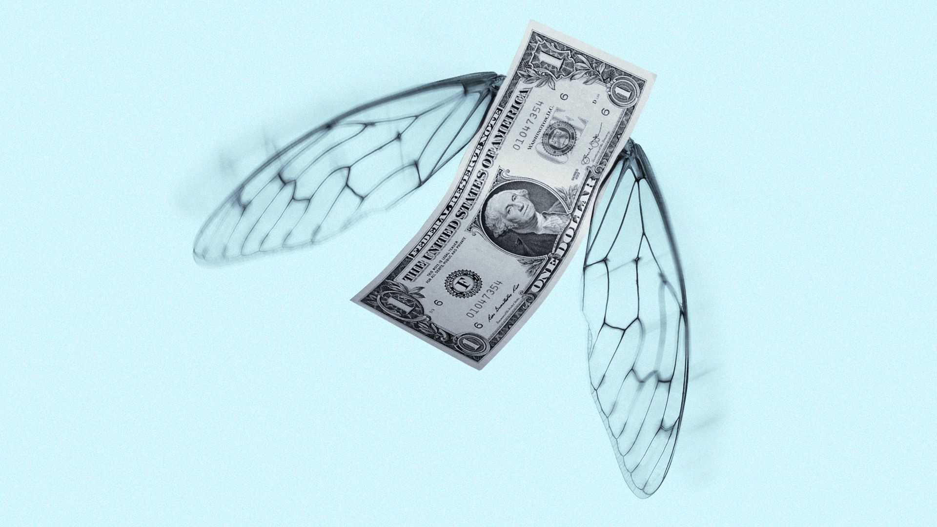 illustration of a dollar bill with fly wings flying toward top of frame