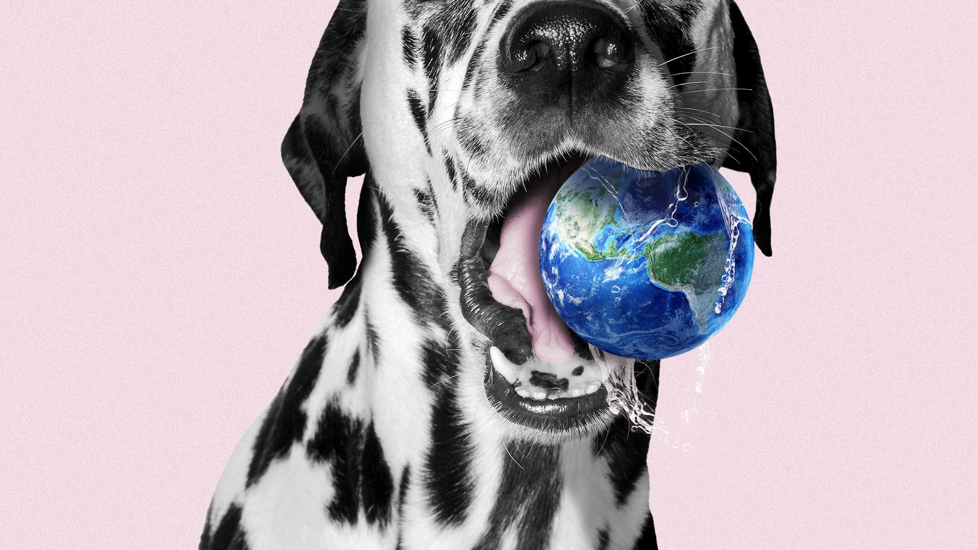 Illustration of a dog biting Earth