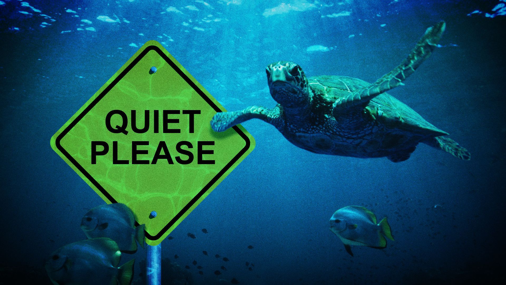 Illustration of sea creatures swimming past a yellow "Quiet Please" sign. 