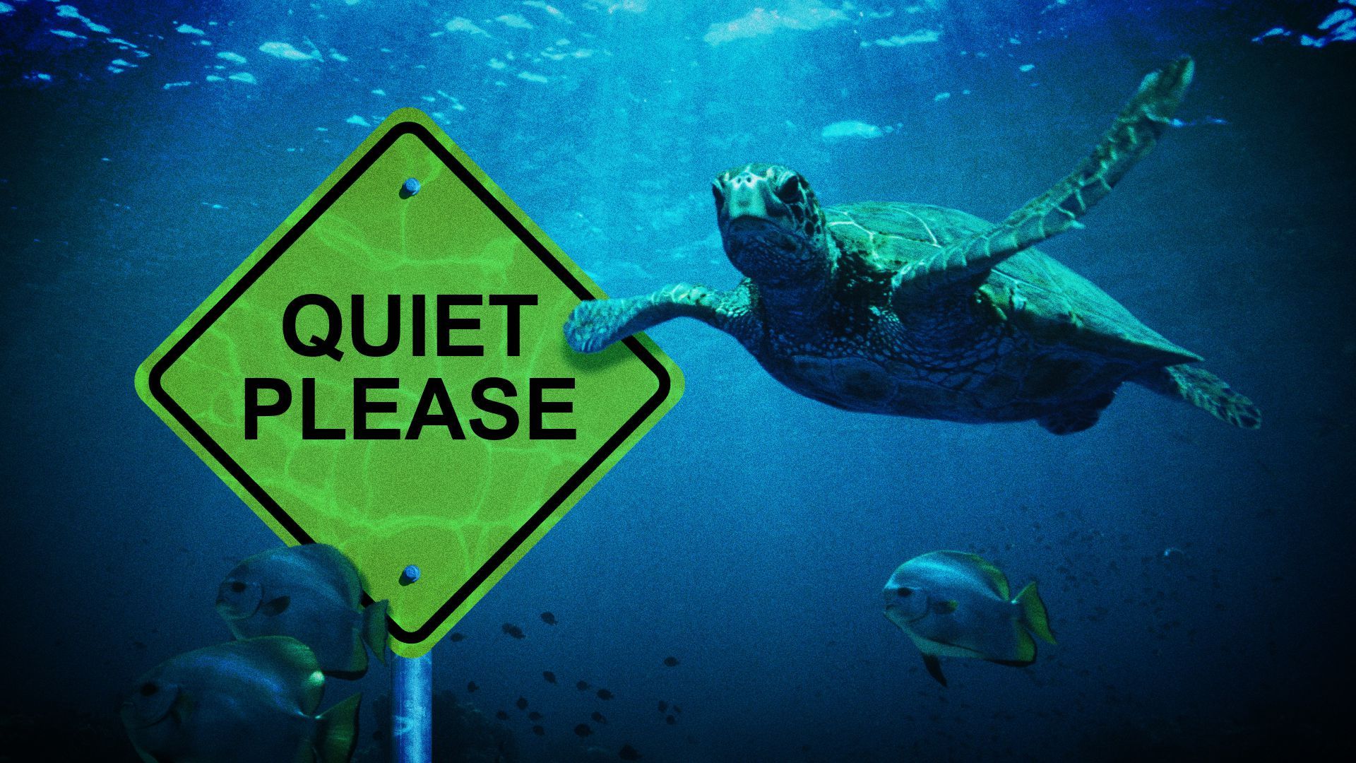 Illustration of sea creatures swimming past a yellow "Quiet Please" sign.