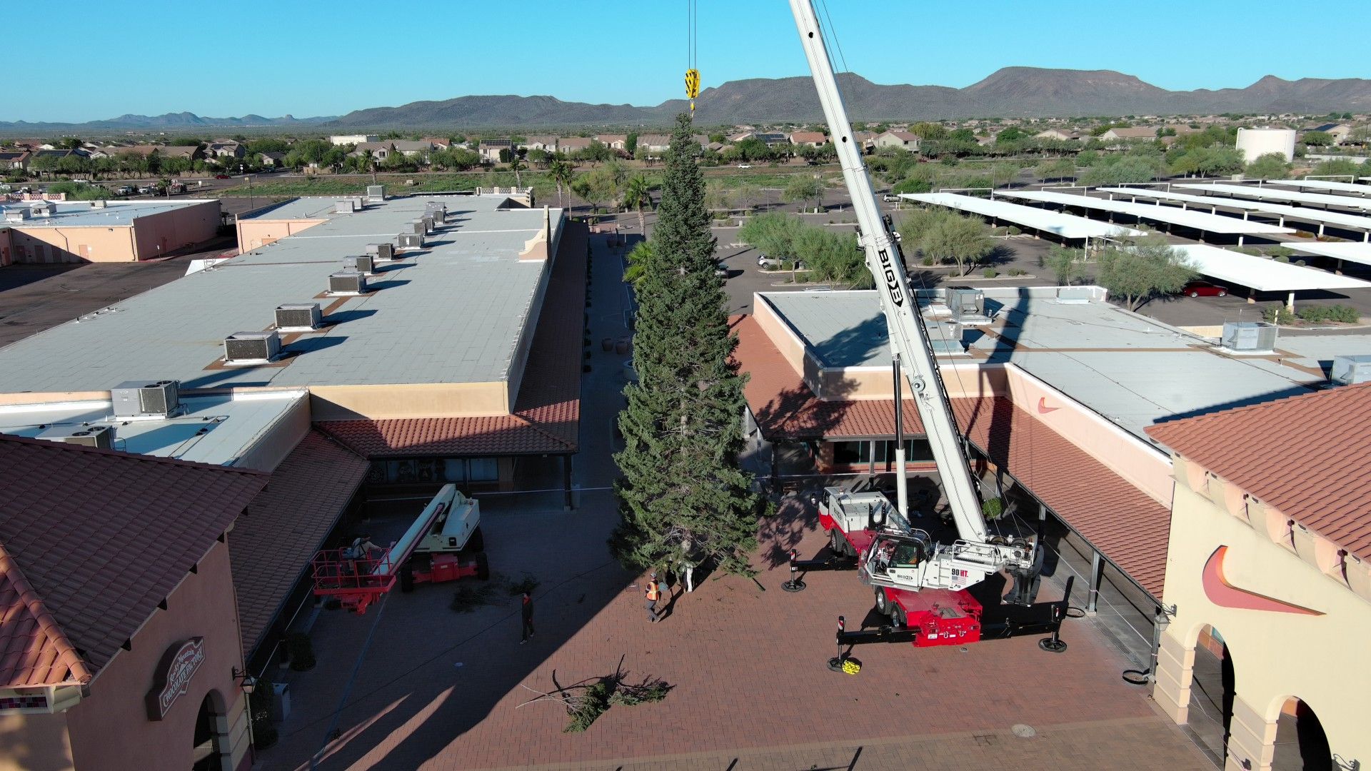 A tall green pine tree being lifted by a white crane in a shopping center courtyard with brick pavement, surrounded by buildings with tiled roofs and a clear blue sky.