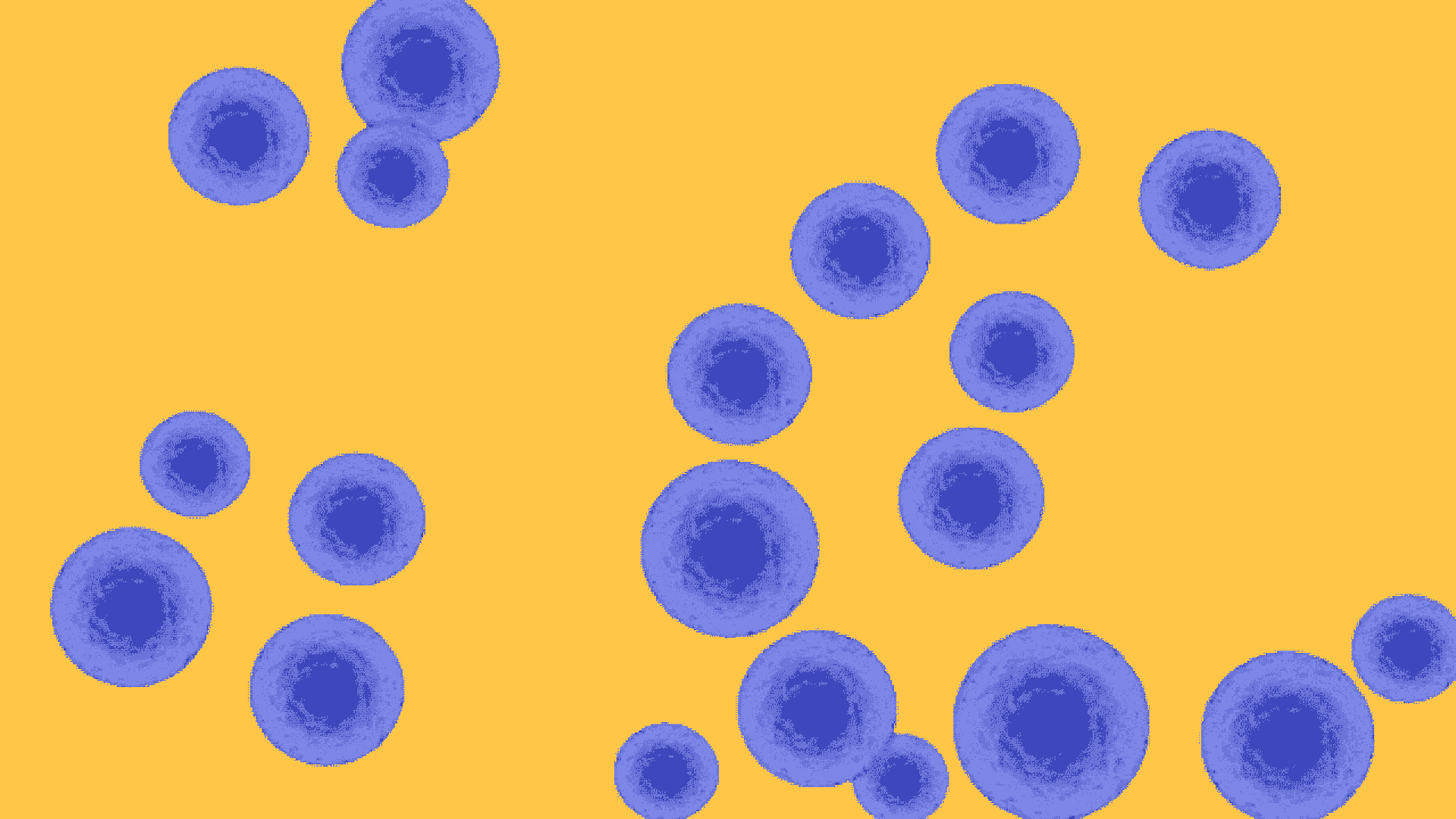 stem cells