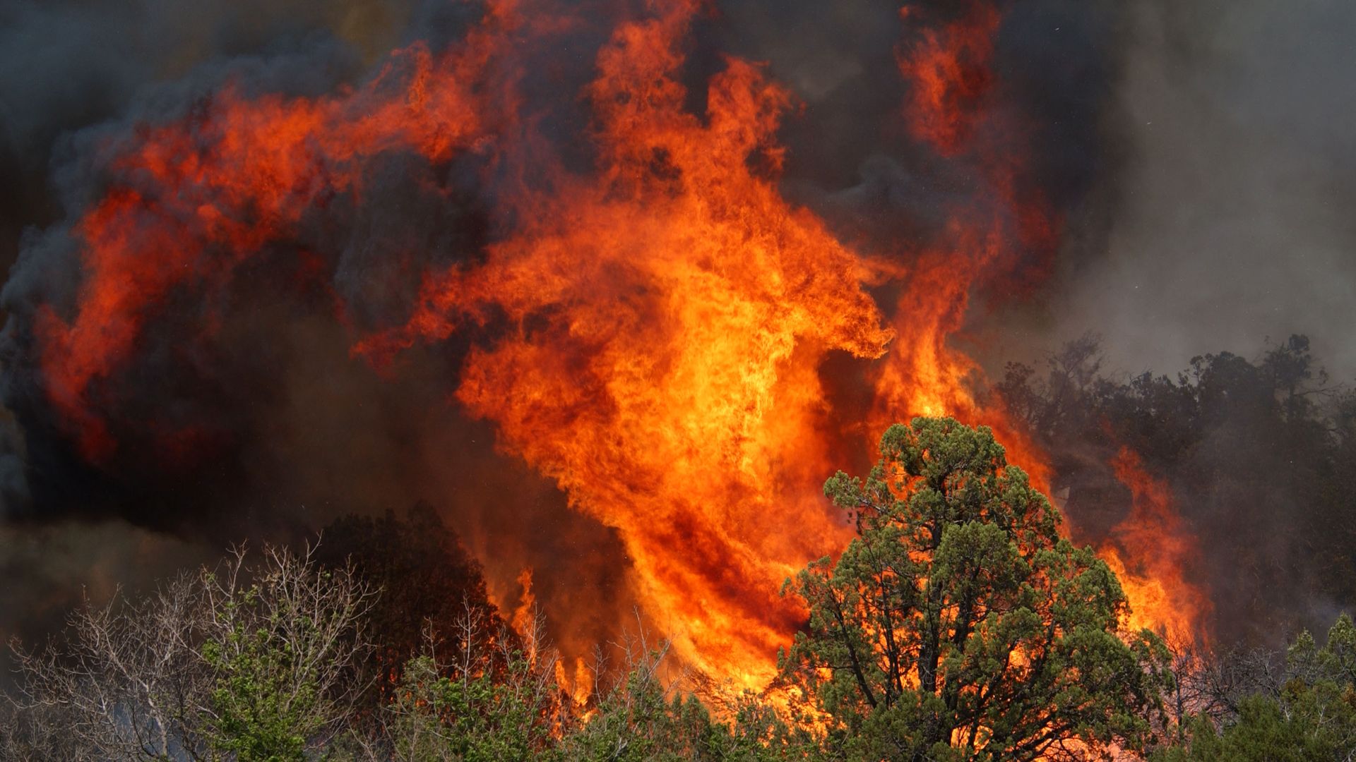 A wildfire burns vegetation in the desert. 