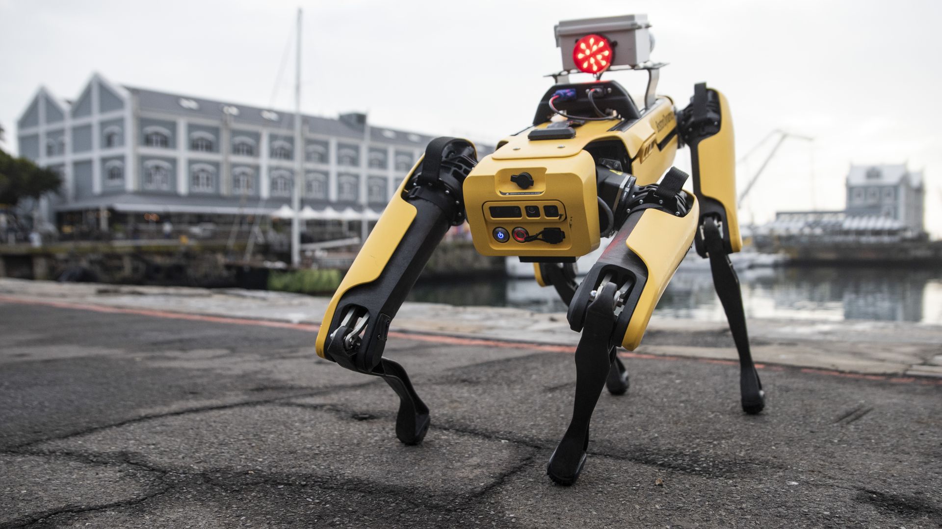 Boston Dynamics' Spot robot, along the waterfront in Cape Town, South Africa. 